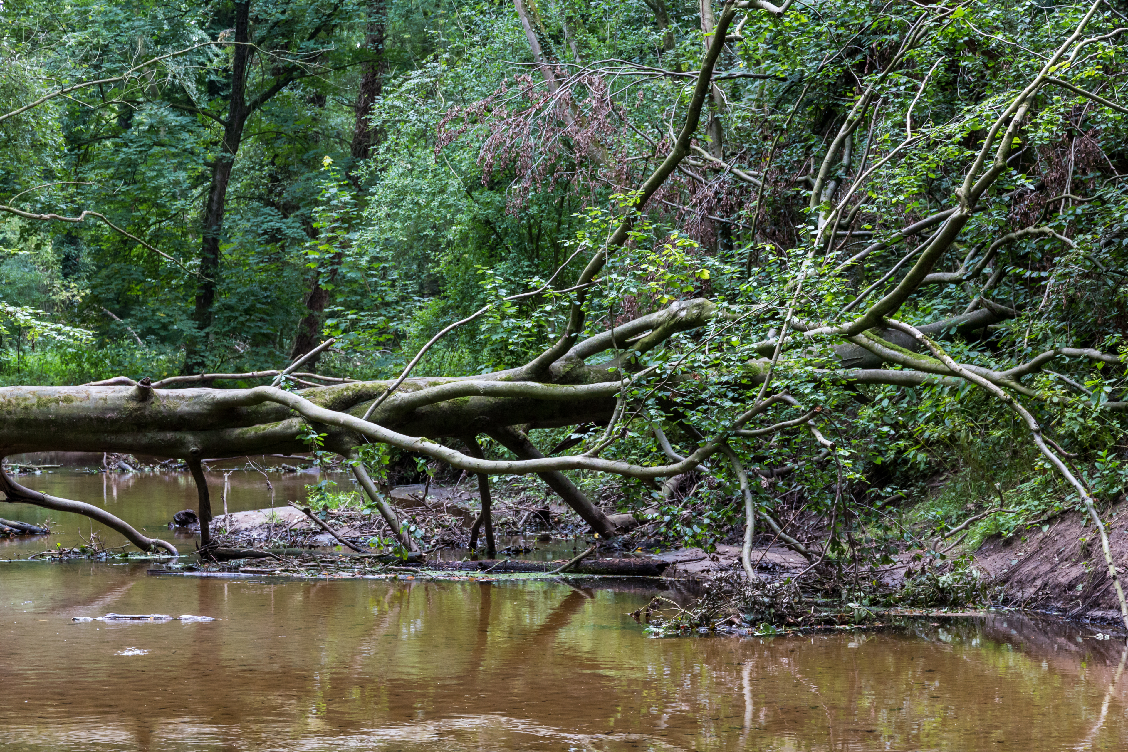 Winterswijk (NL), Woold, Boven Slinge -- 2014 -- 3130