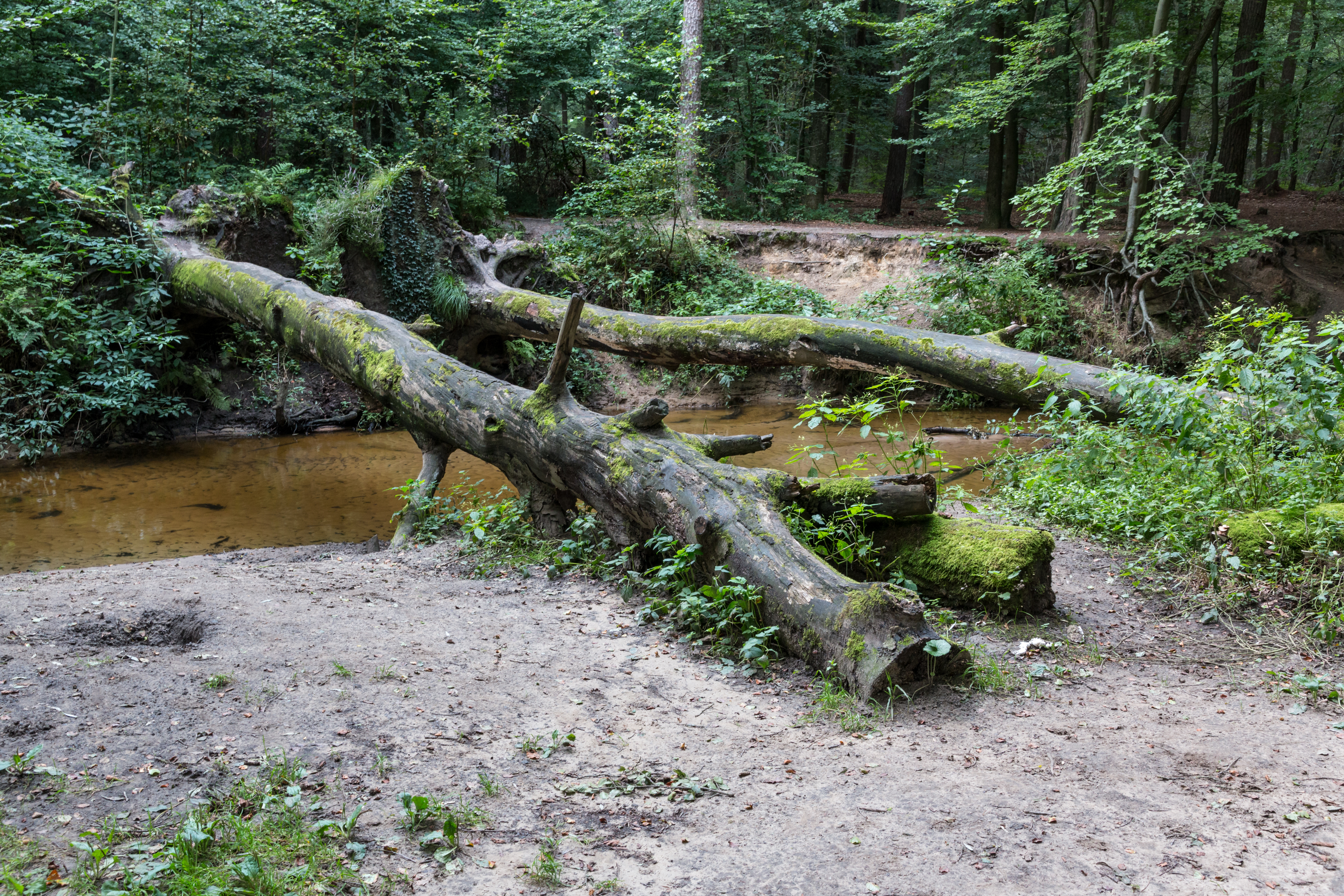 Winterswijk (NL), Woold, Boven Slinge -- 2014 -- 3162