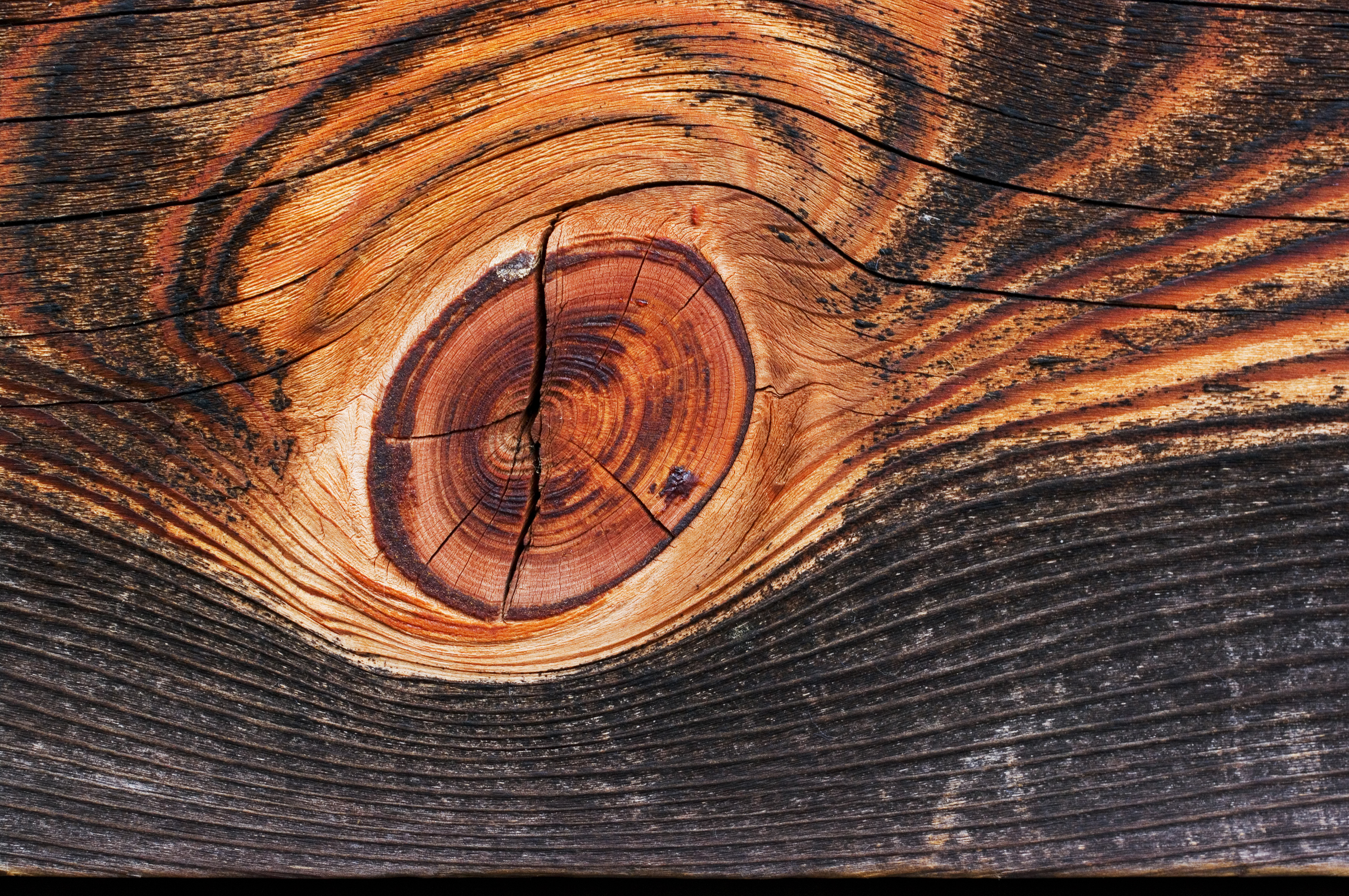 Wood Pillar kobe