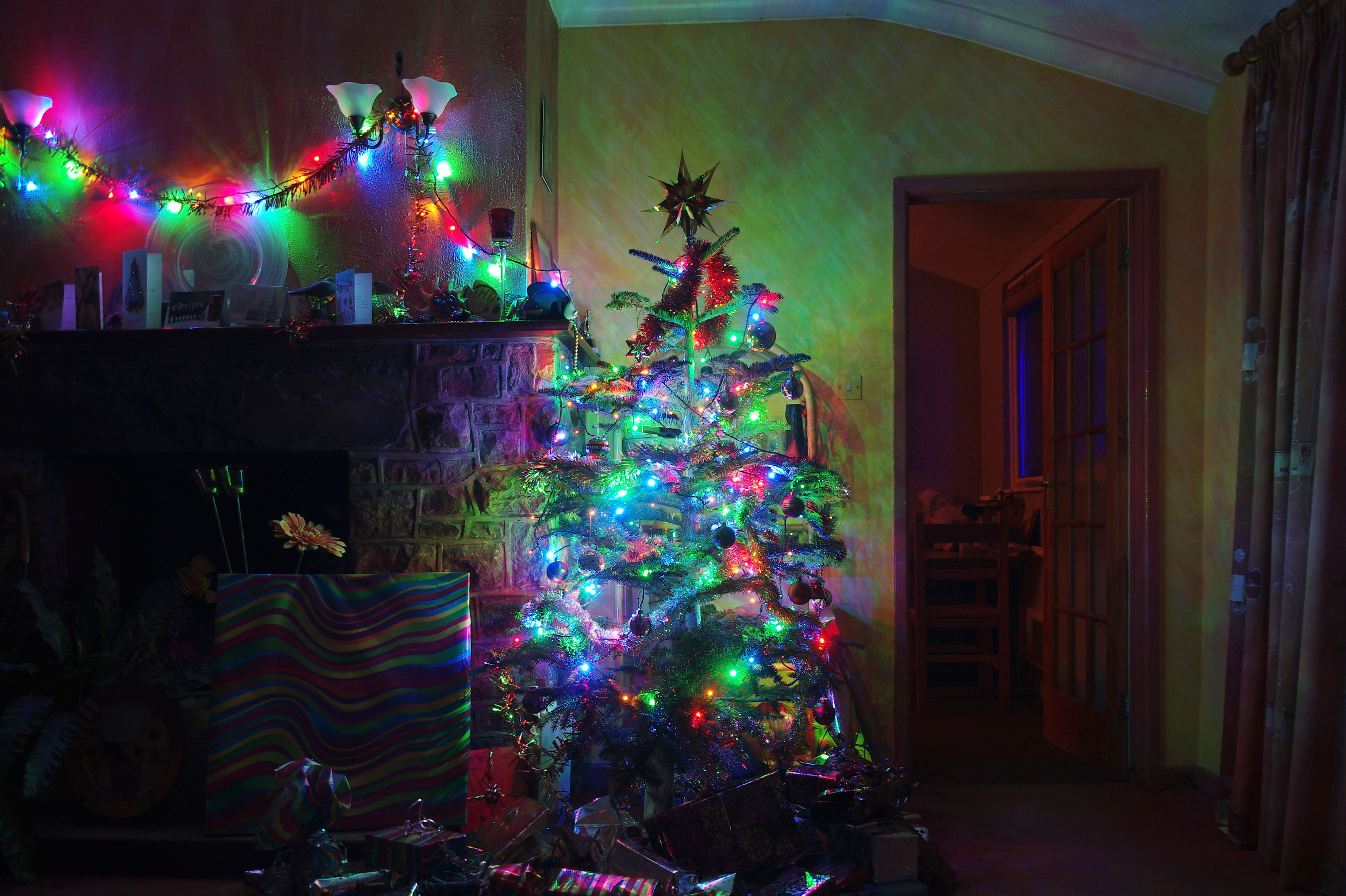Wraxall 2011 MMB 55 Christmas tree