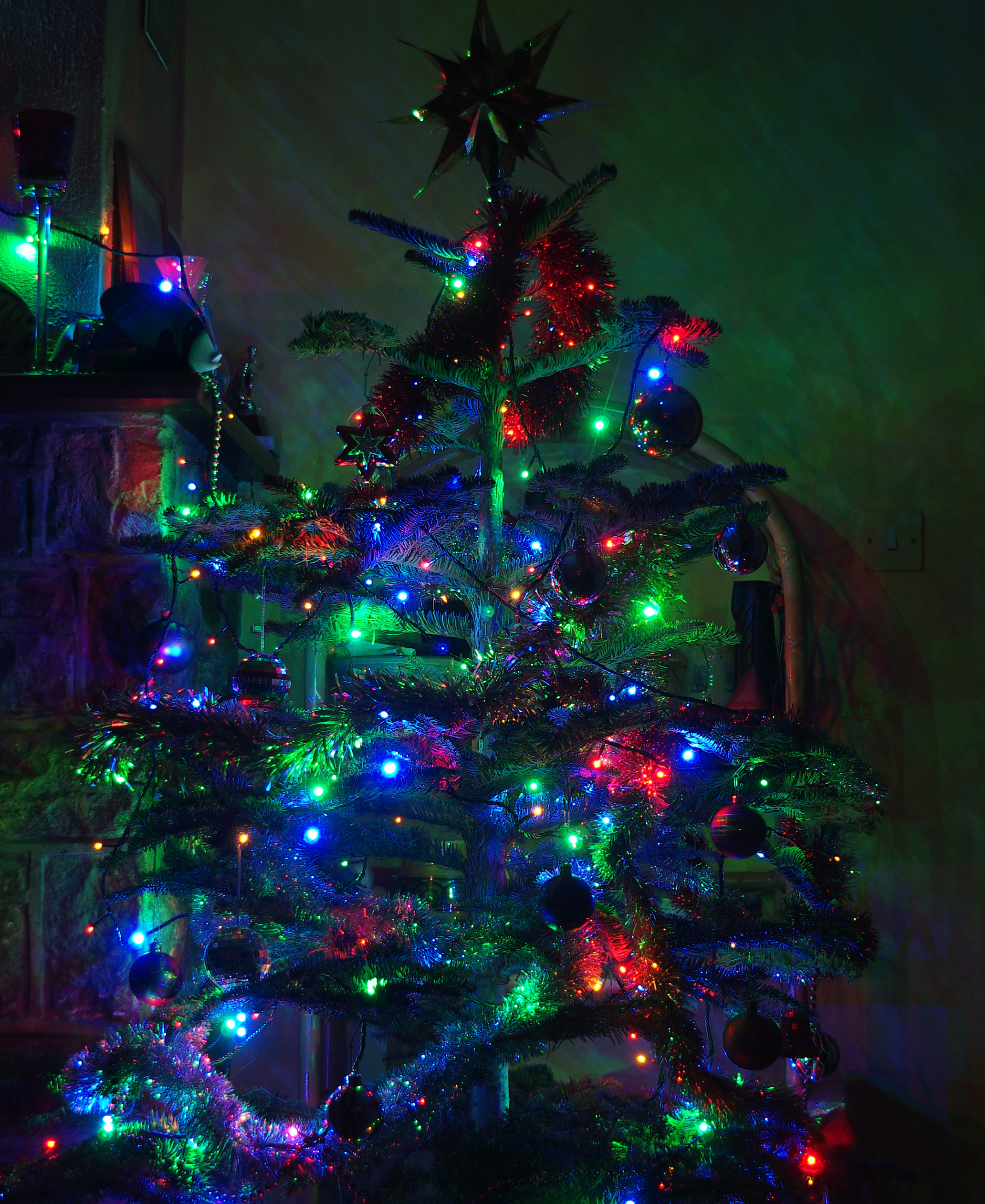 Wraxall 2011 MMB 58 Christmas tree