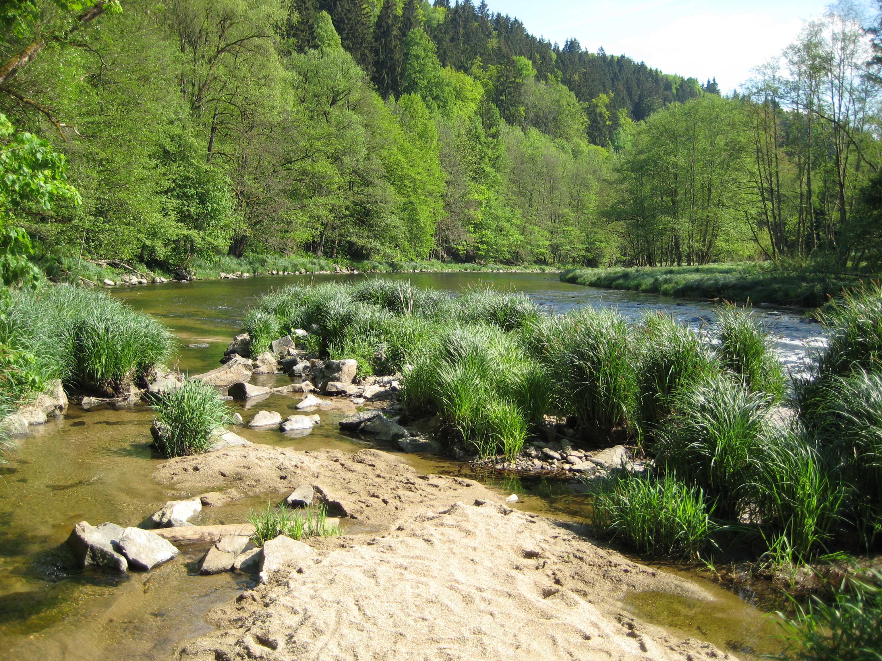 070501 Ilz Kalteneck-Fuersteneck 4