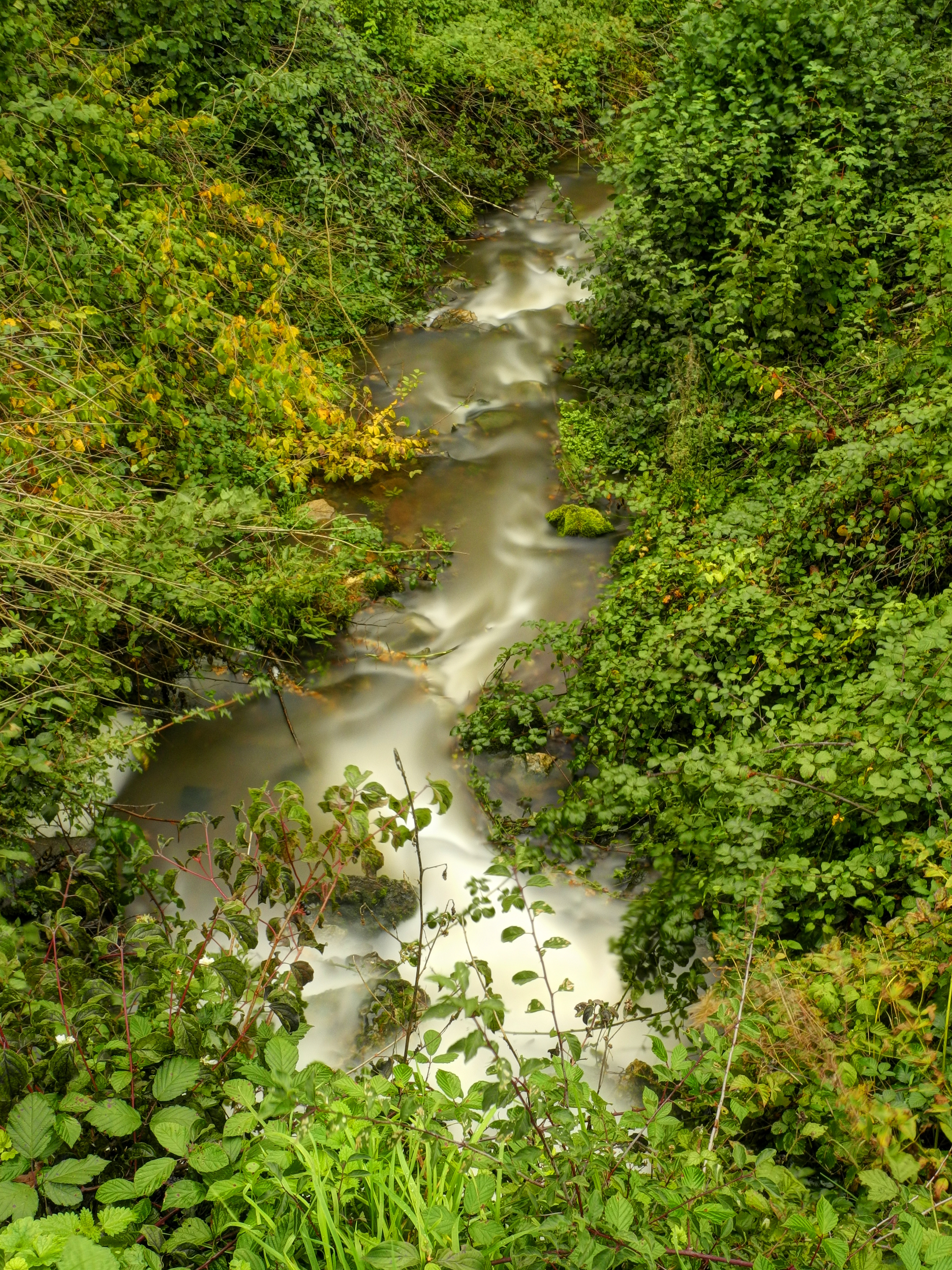 2013-10-15 12-28-28-ruisseau-etang-Rechal