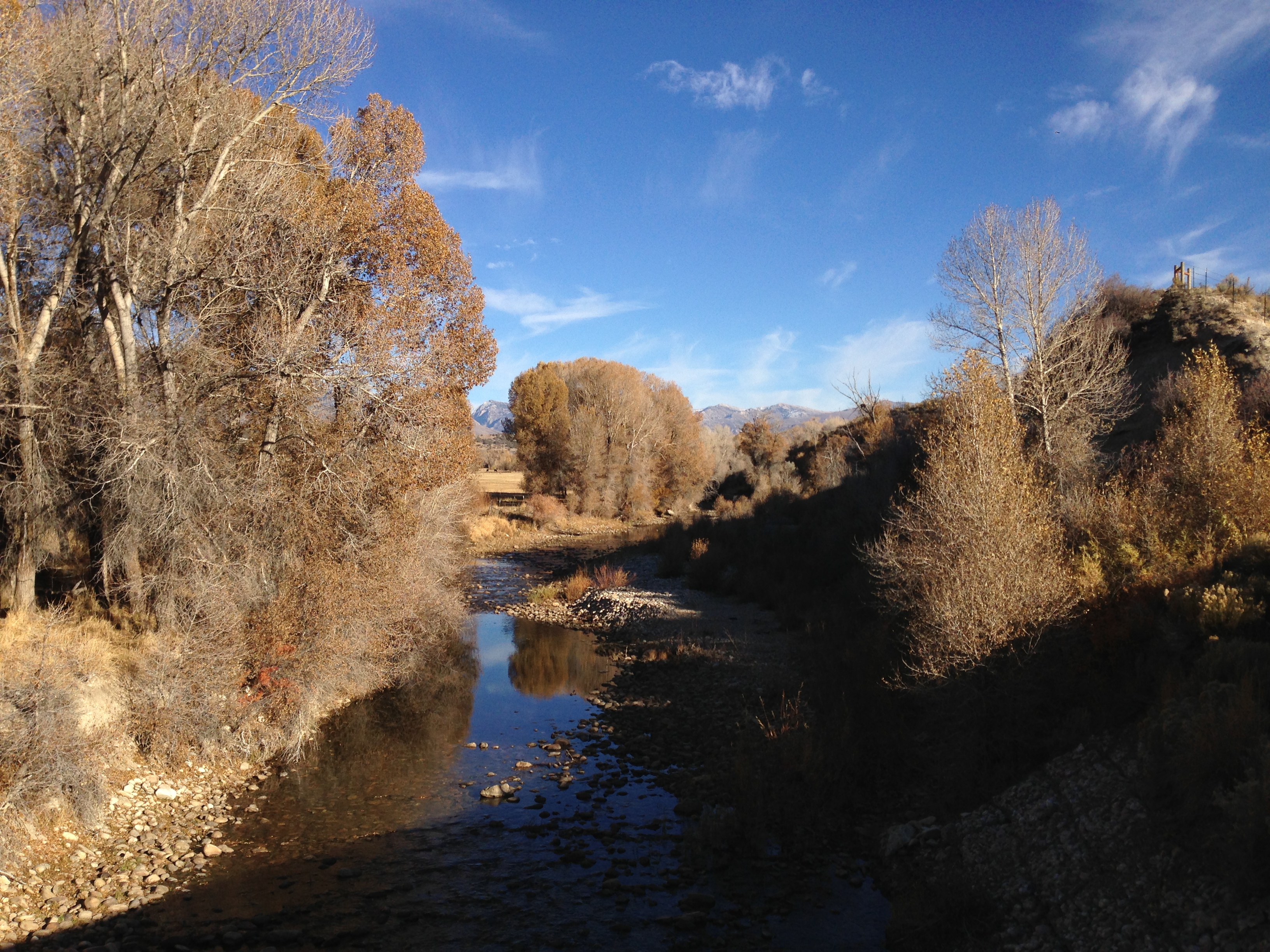 2013-10-20 16 05 16 View south up the South Fork Humboldt River from Nevada State Route 228