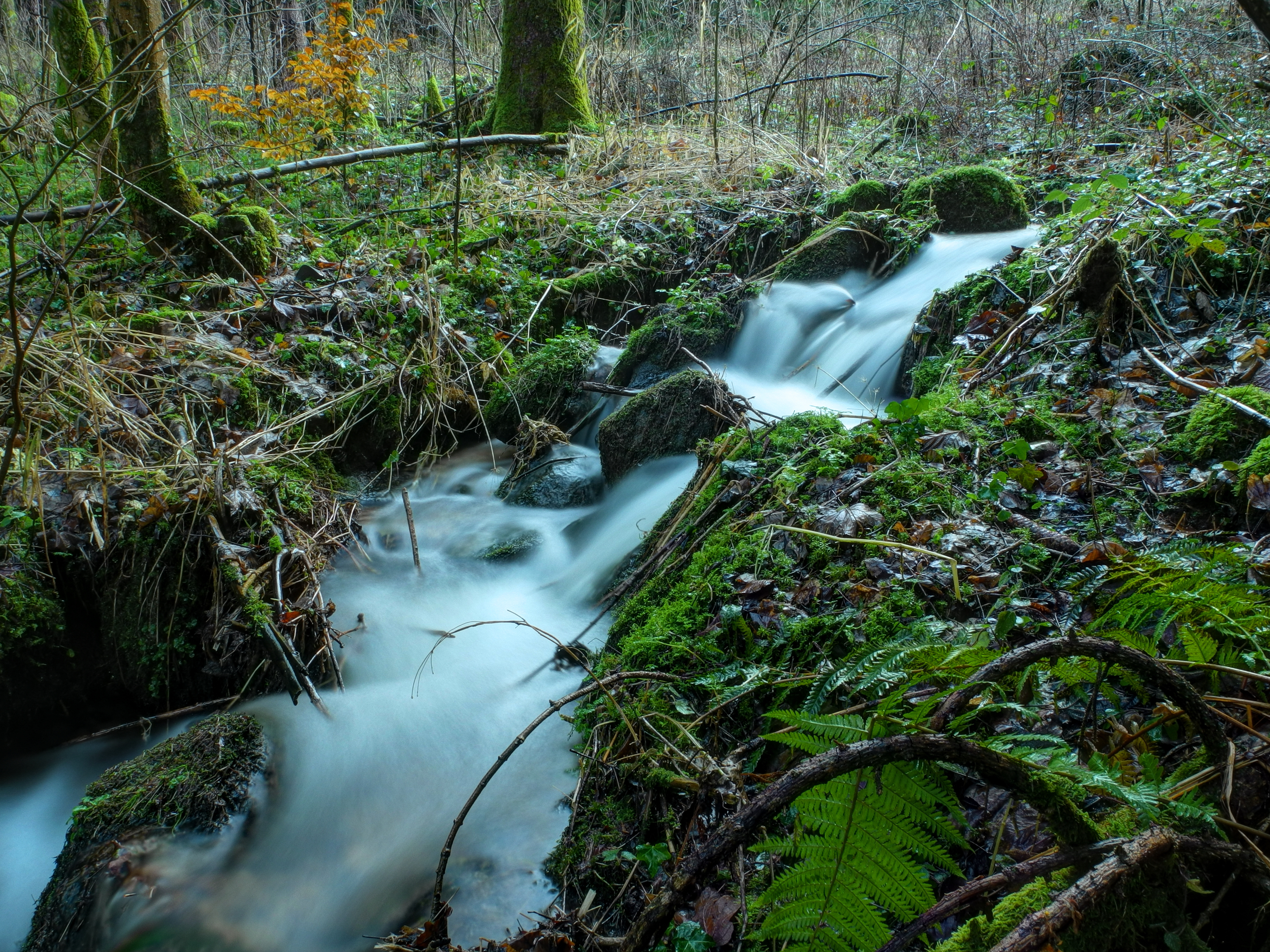 2014-01-05 16-17-11 rigole
