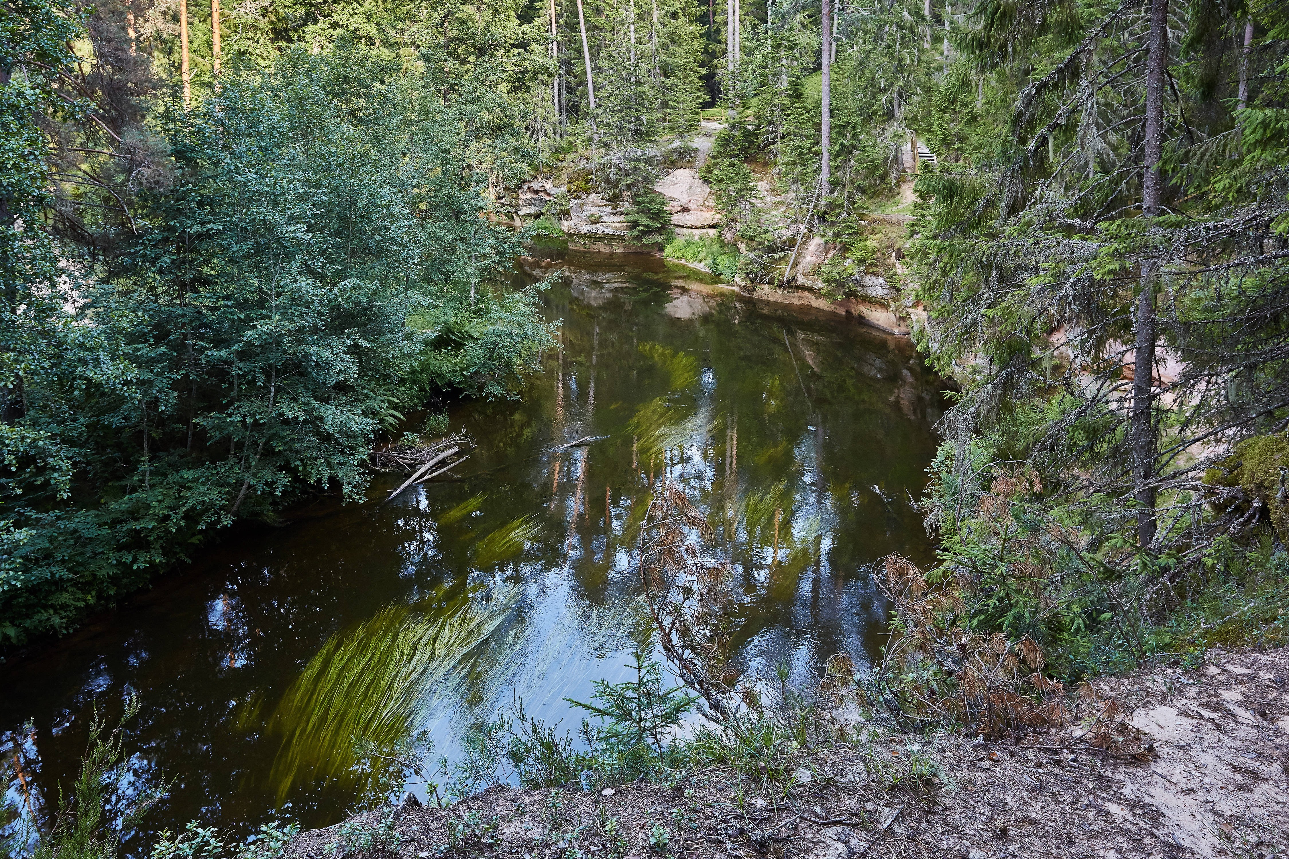 Ahja jõgi 2013 06