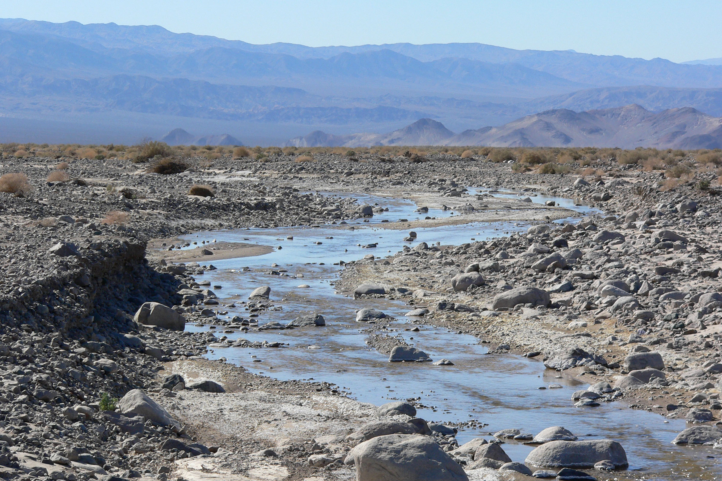 Amargosa River at Dumont Dunes 2