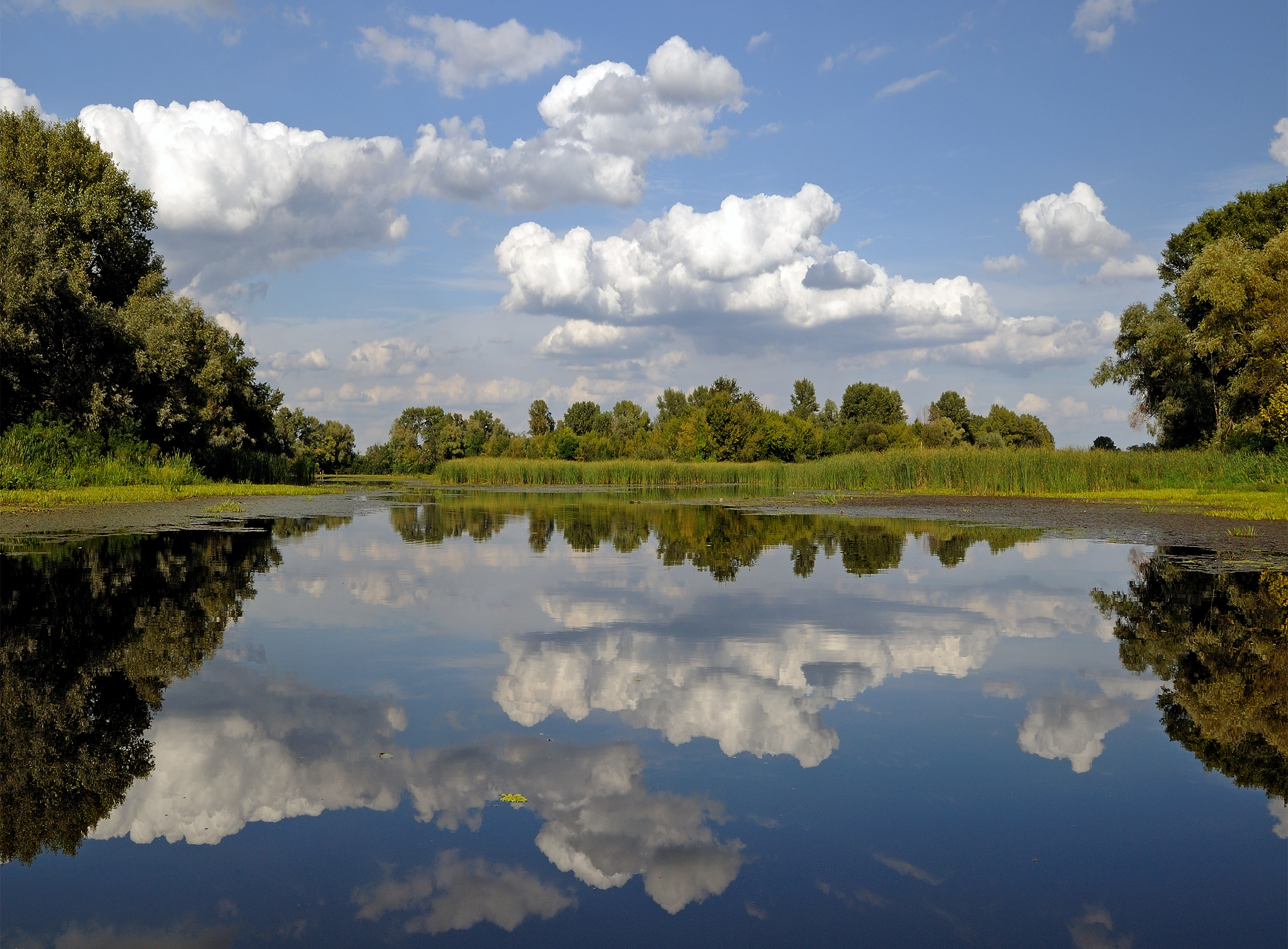 August. Ukraine