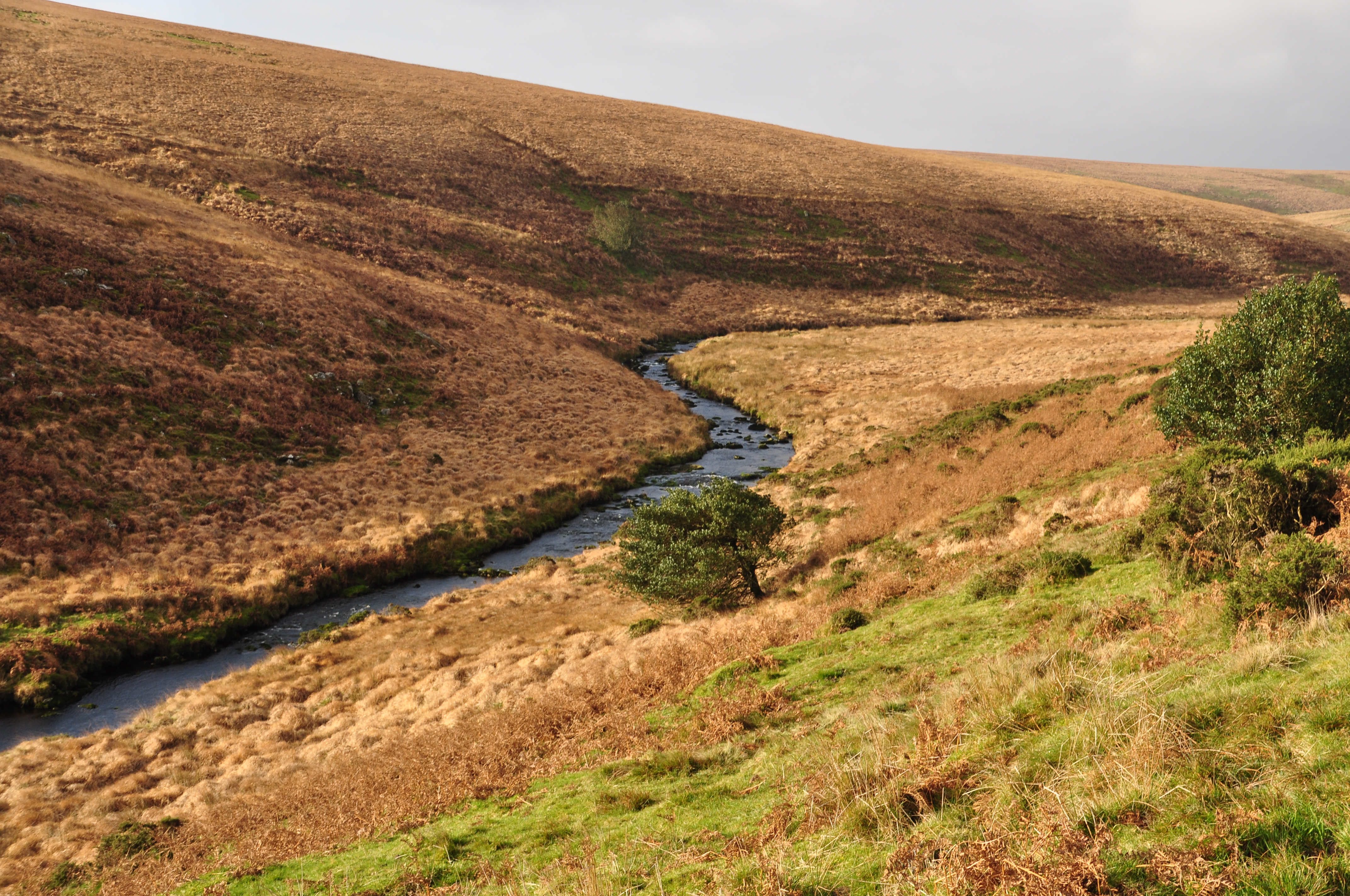 Avon valley above Avon Dam Reservoir (1793)