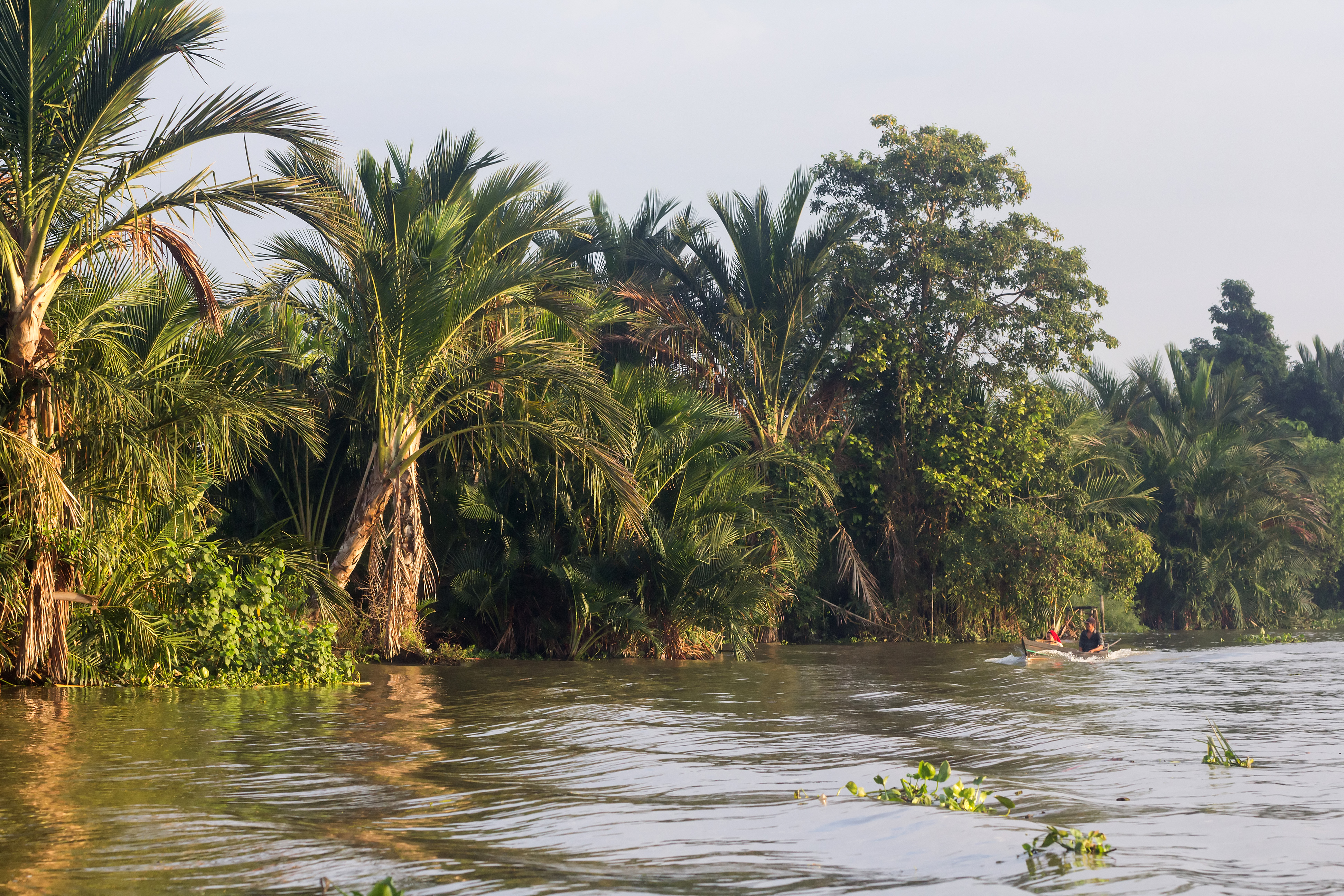 Banks of Martapura River, South Kalimantan, 2018-07-28 01