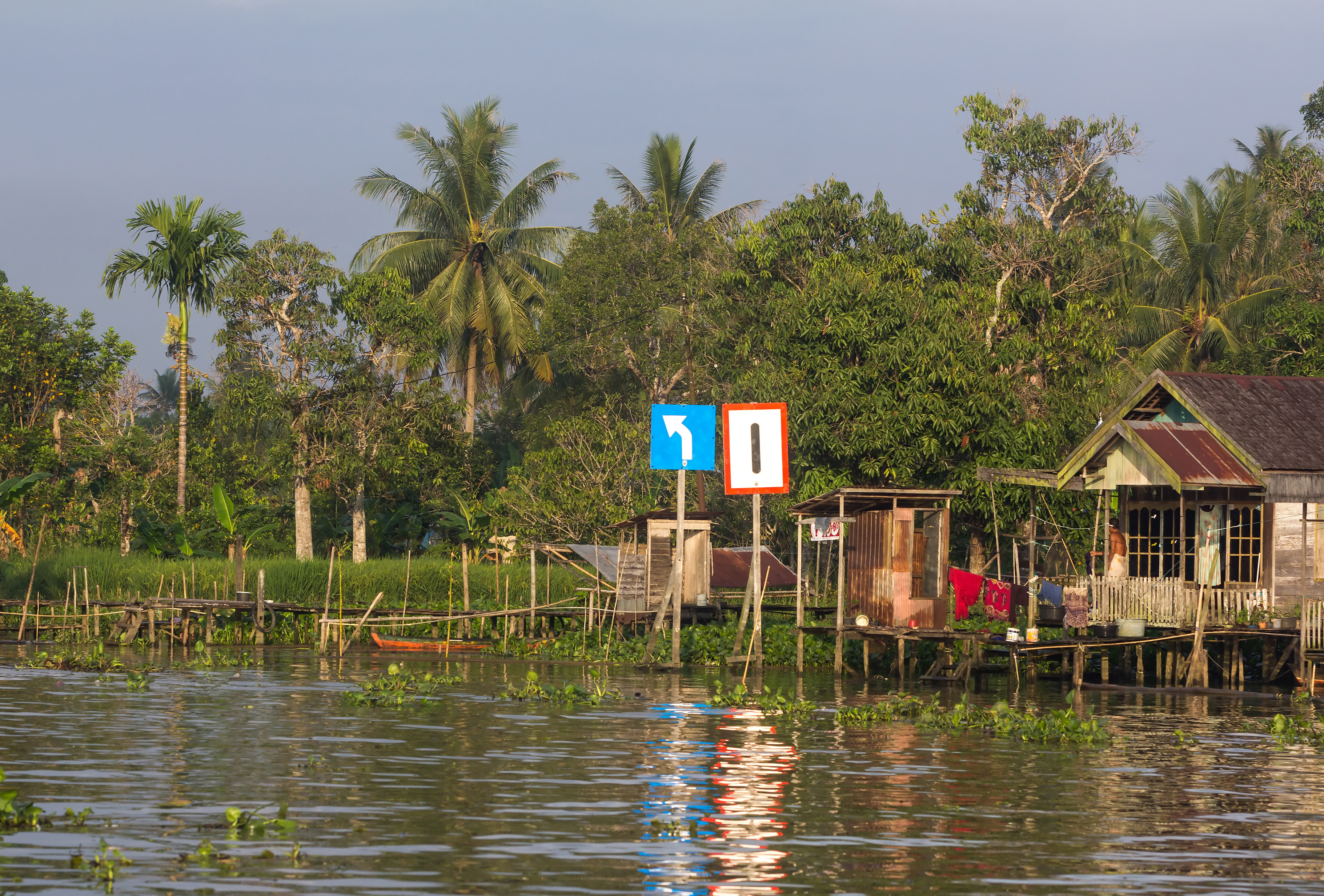 Banks of Martapura River, South Kalimantan, 2018-07-28 09