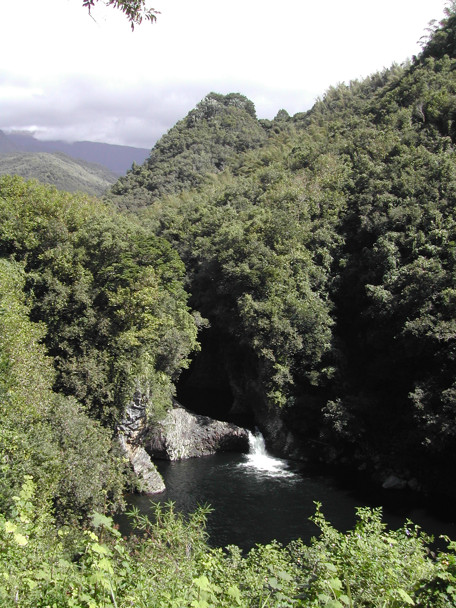 Bassin-des-hauts
