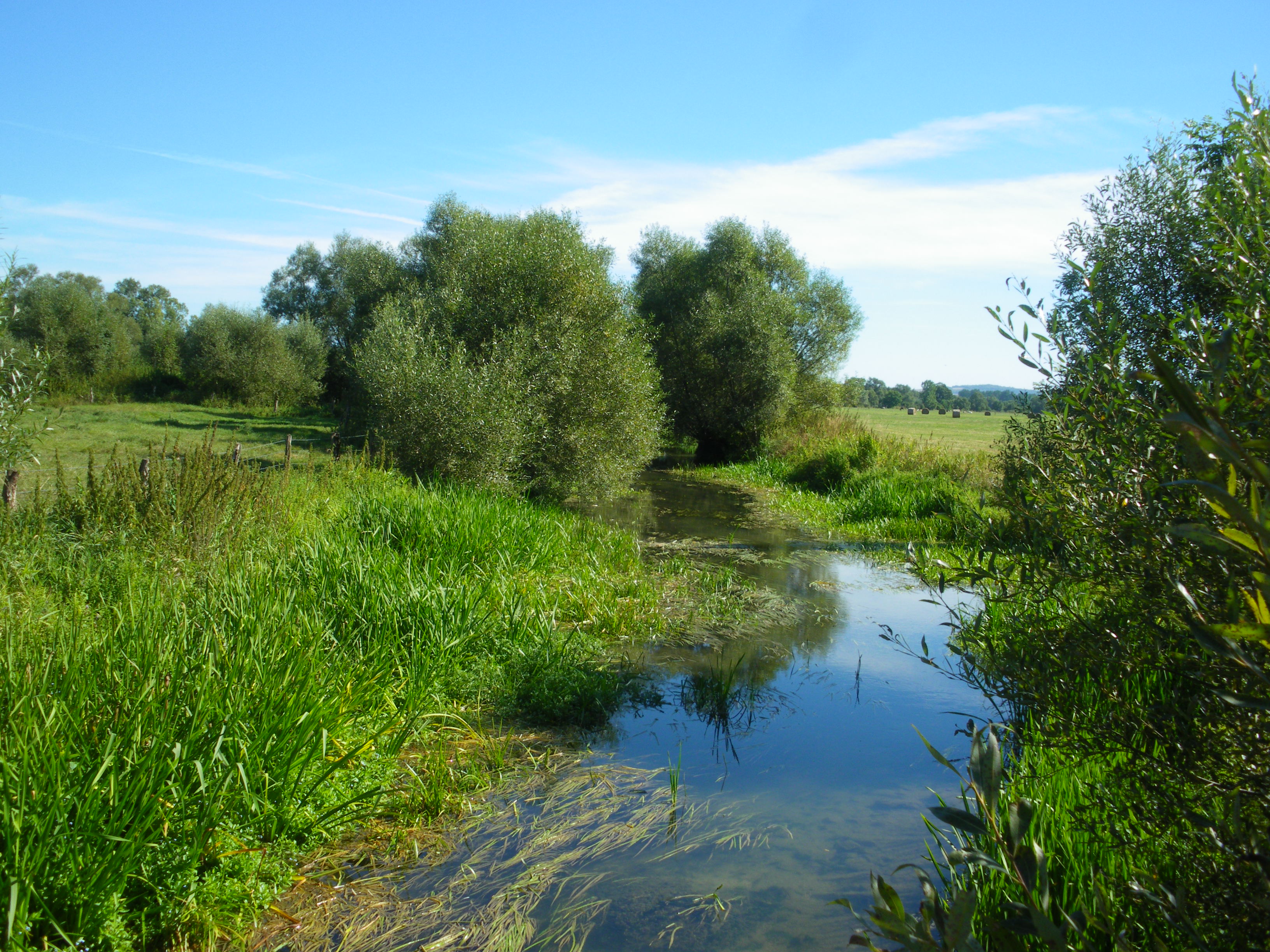 Berges de la petite Meuse