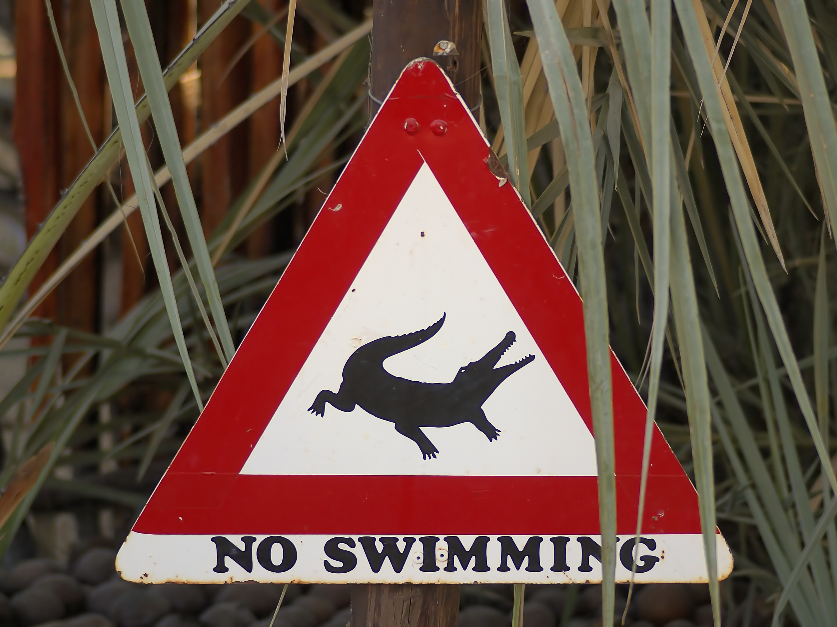 Beware of crocodiles