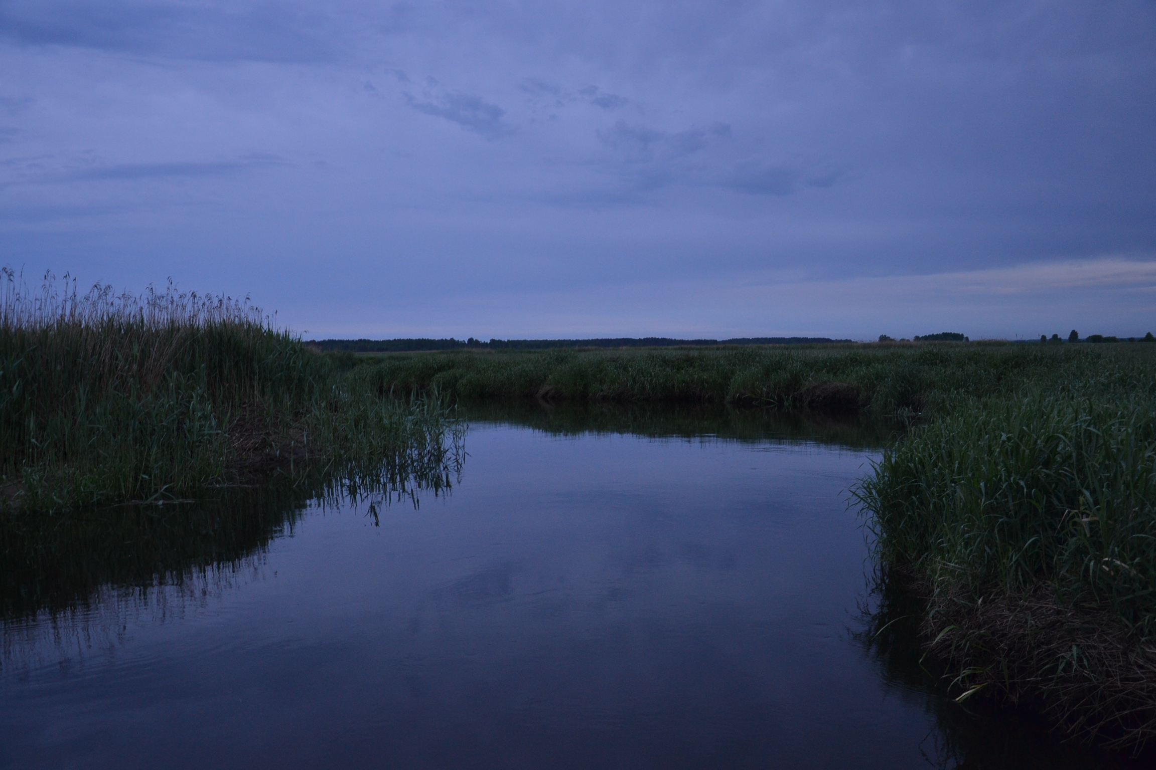 Biebrza National Park (by Pudelek) 01 - in the evening