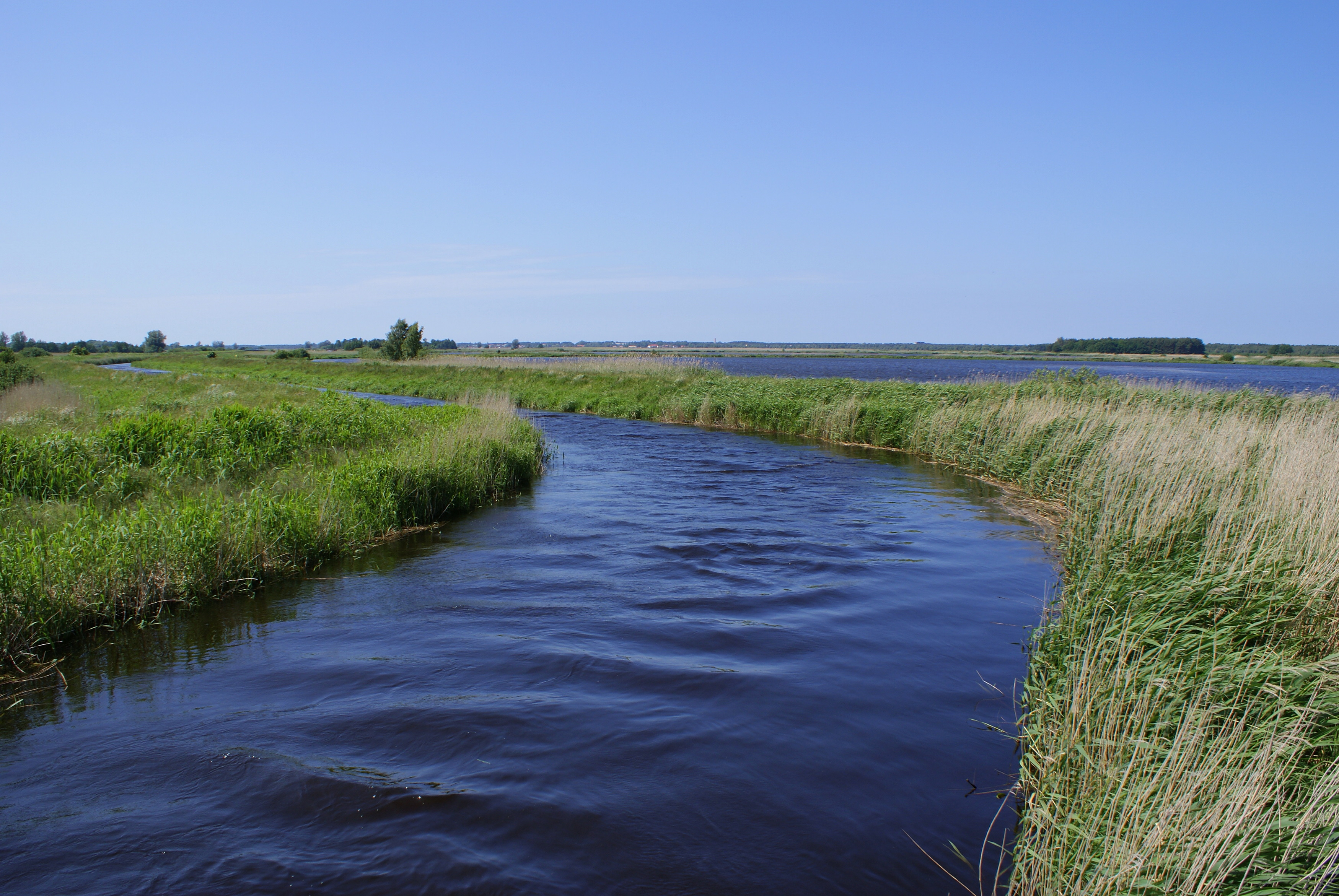 Blotnica from Glowaczewo railbridge 2009-06
