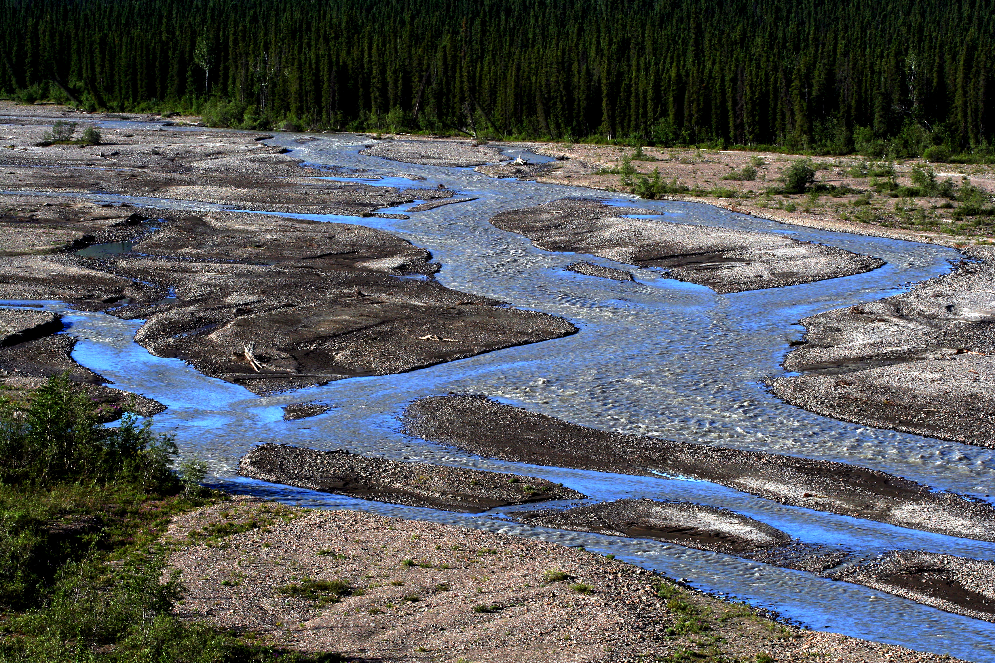 Braided river, Denali NP