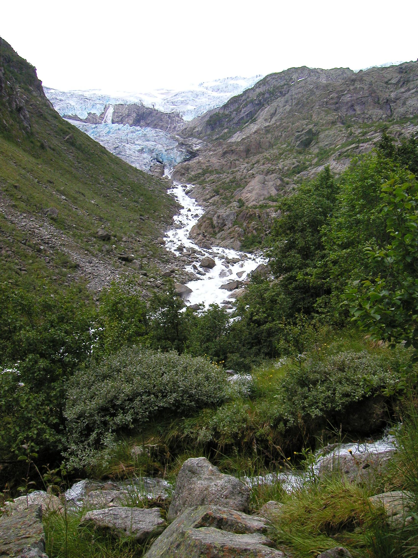 Buerbreen1