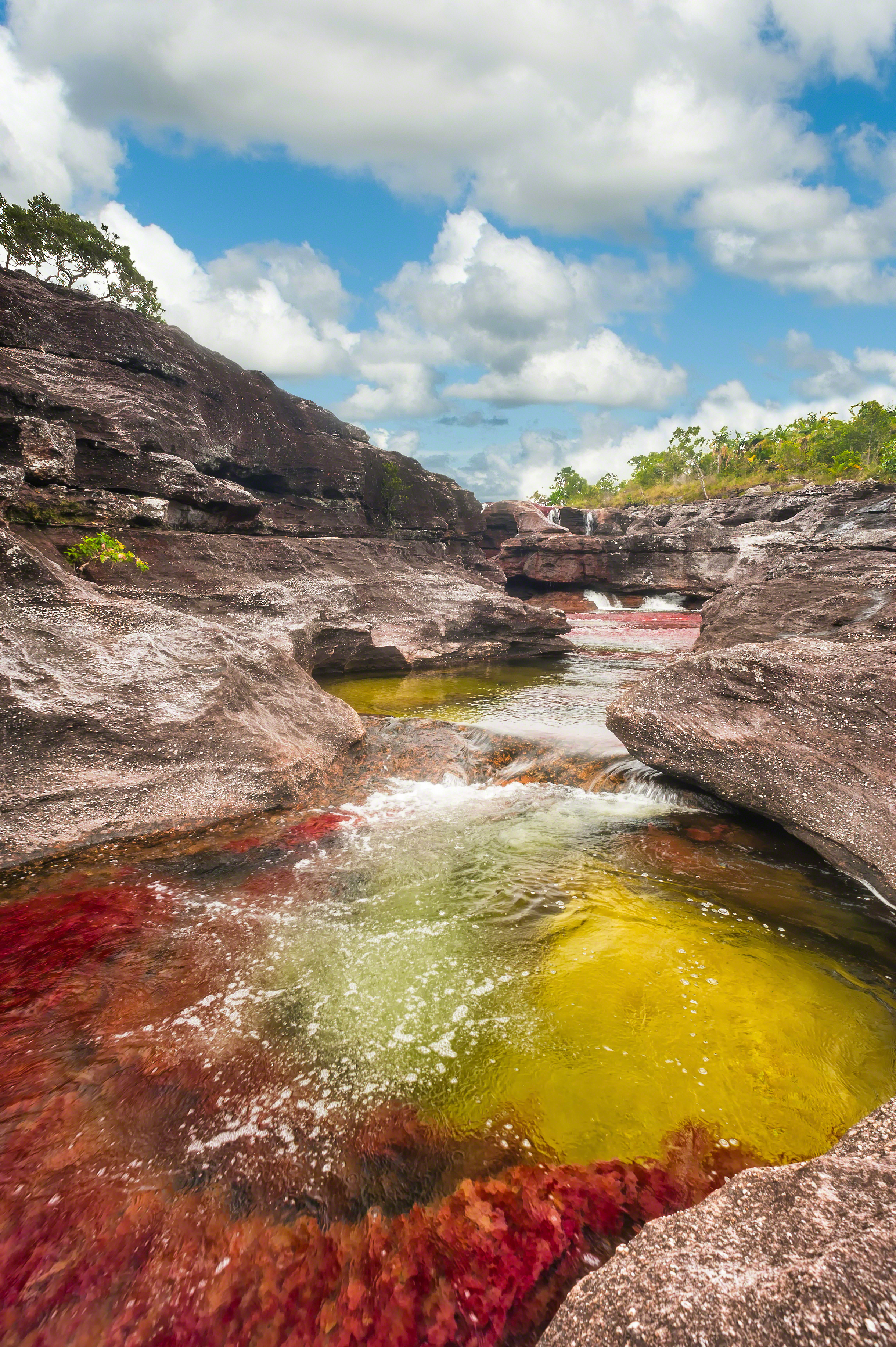 CAÑO CRISTALES, CAÑÓN EN EL SECTOR LOS OCHOS