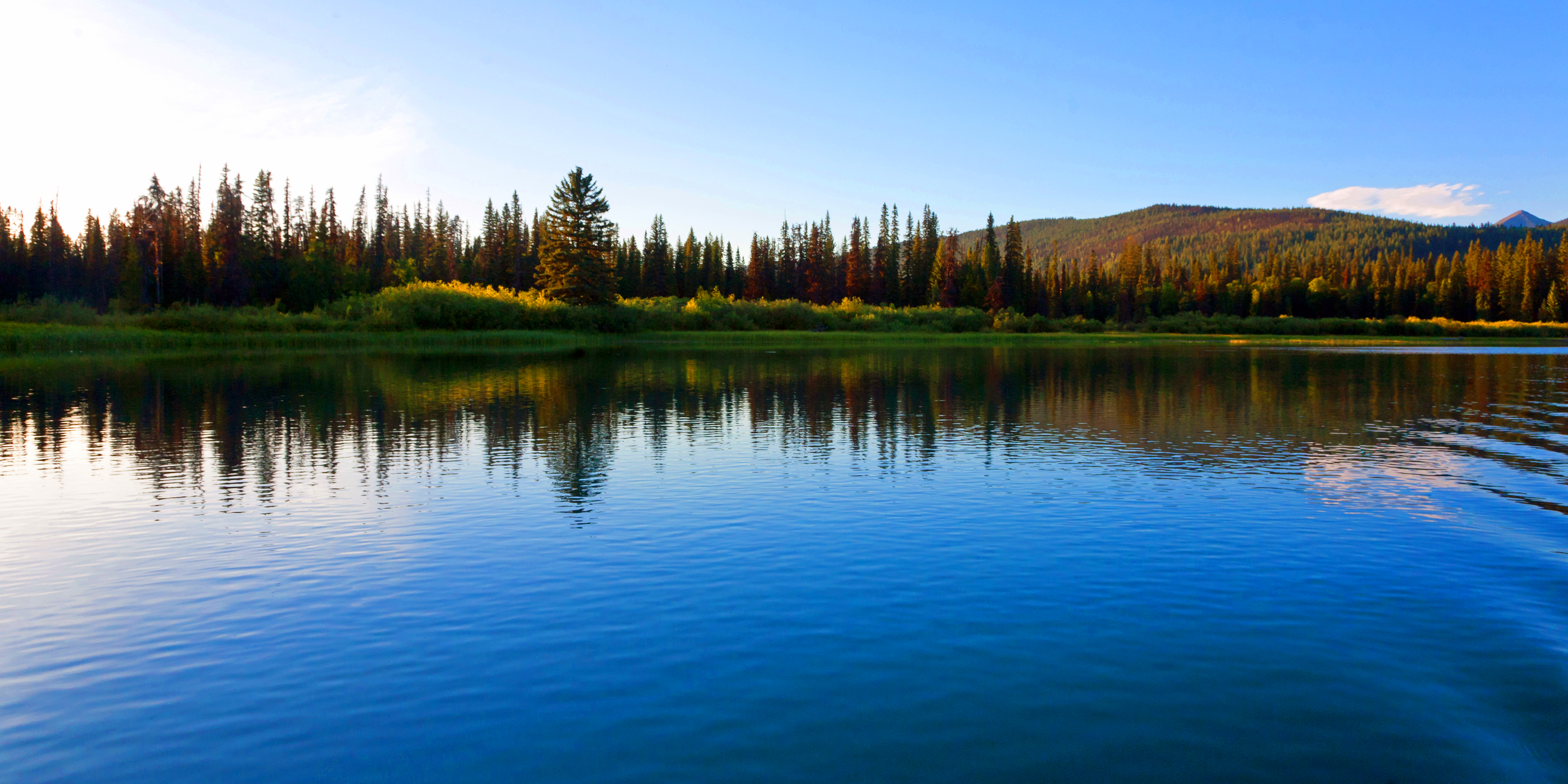 Caribou River August 2008