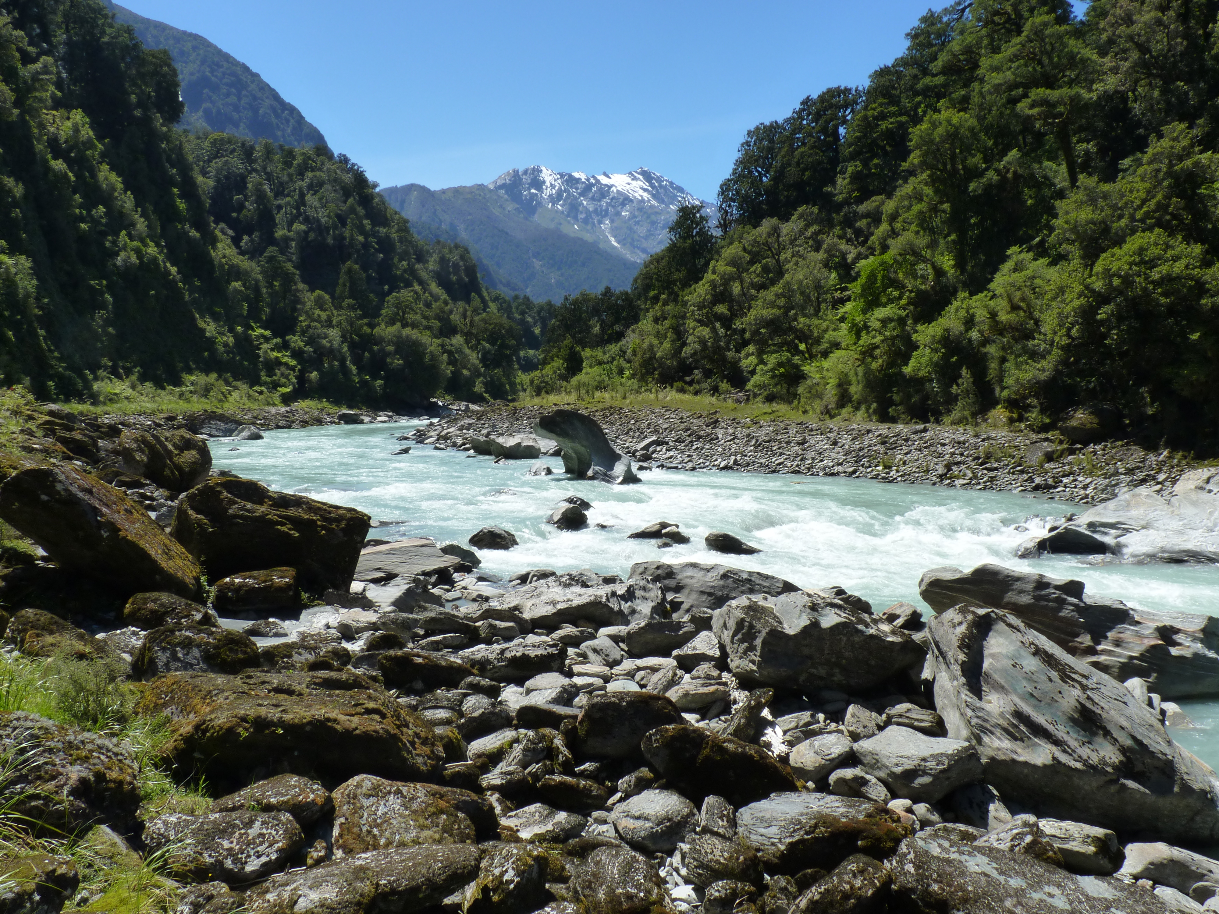 Copland Track, New Zealand (18)