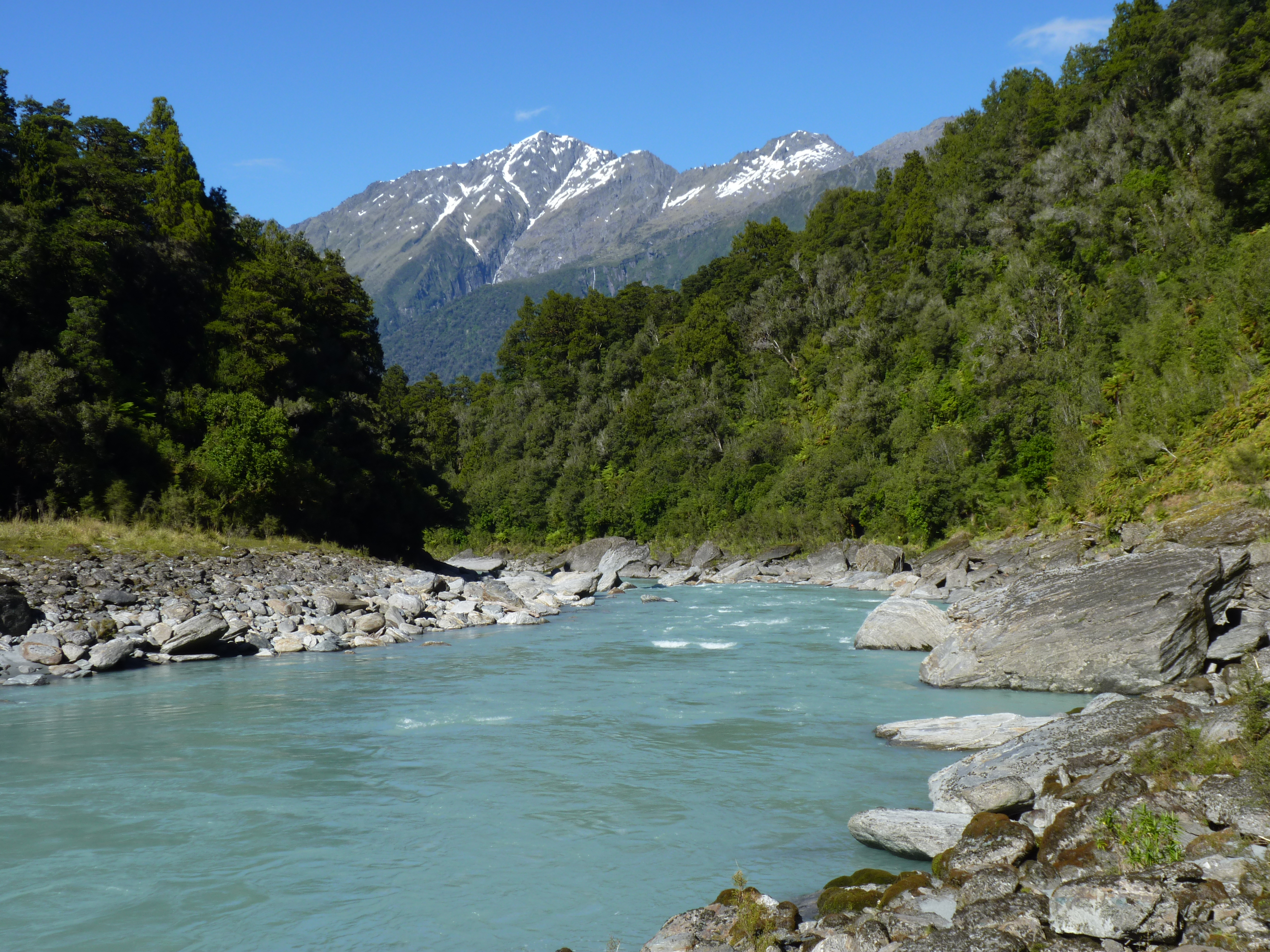 Copland Track, New Zealand (45)