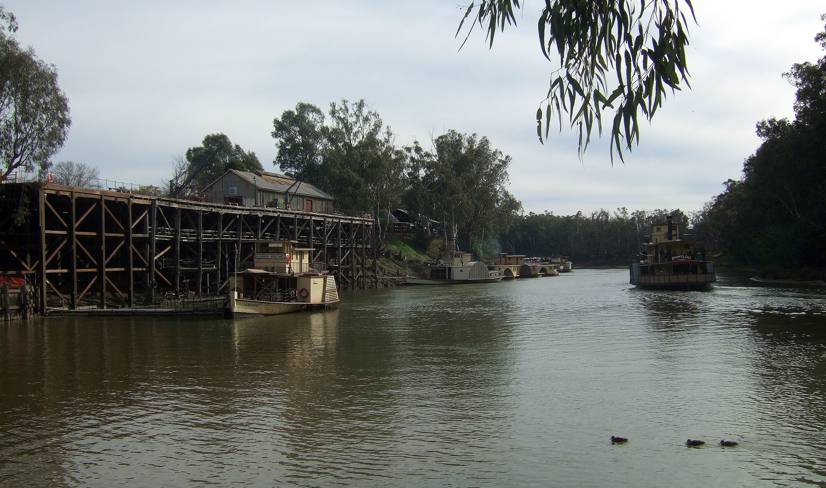Echuca docks Stevage