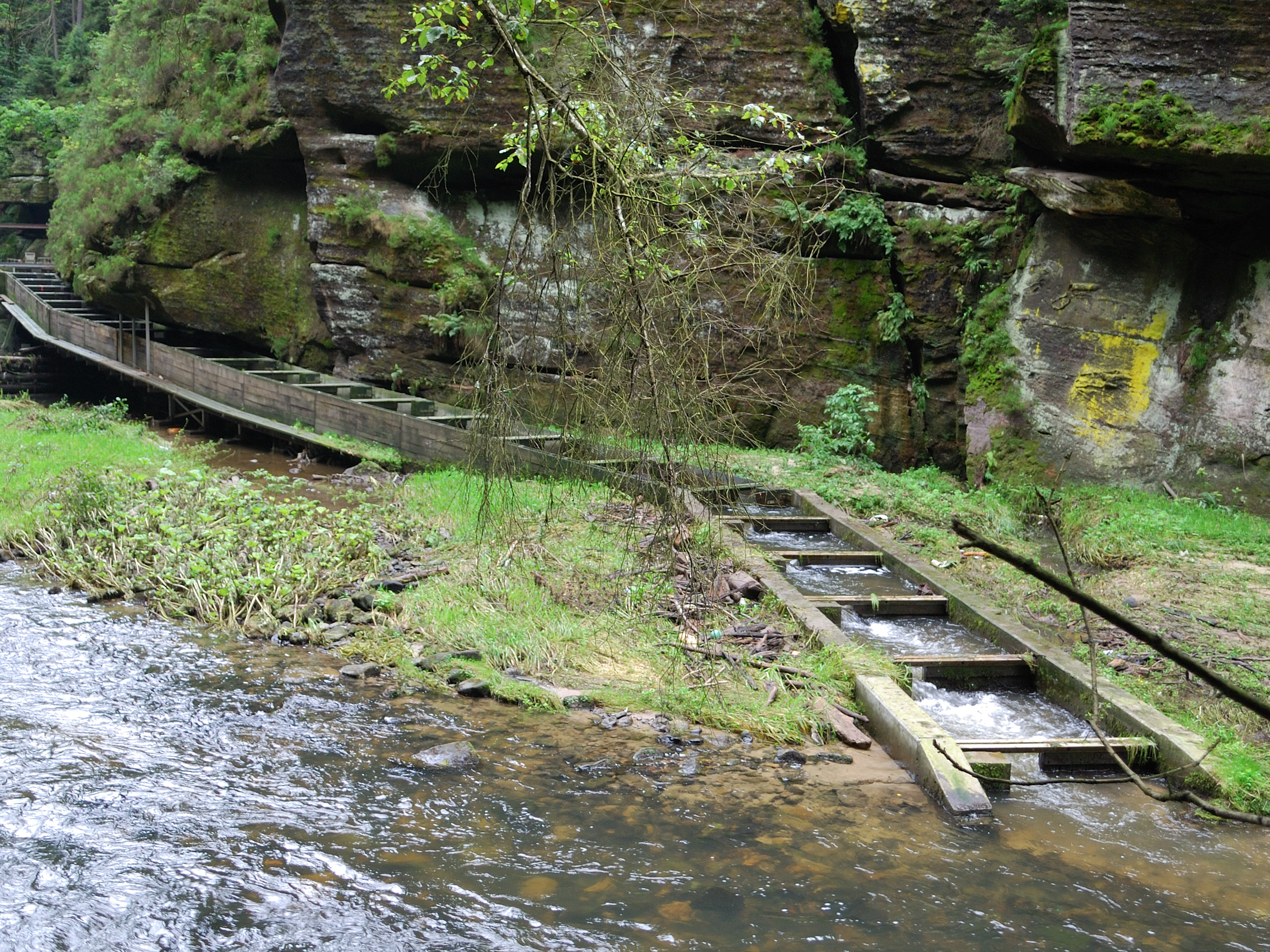 Edmundsklamm Fischtreppe