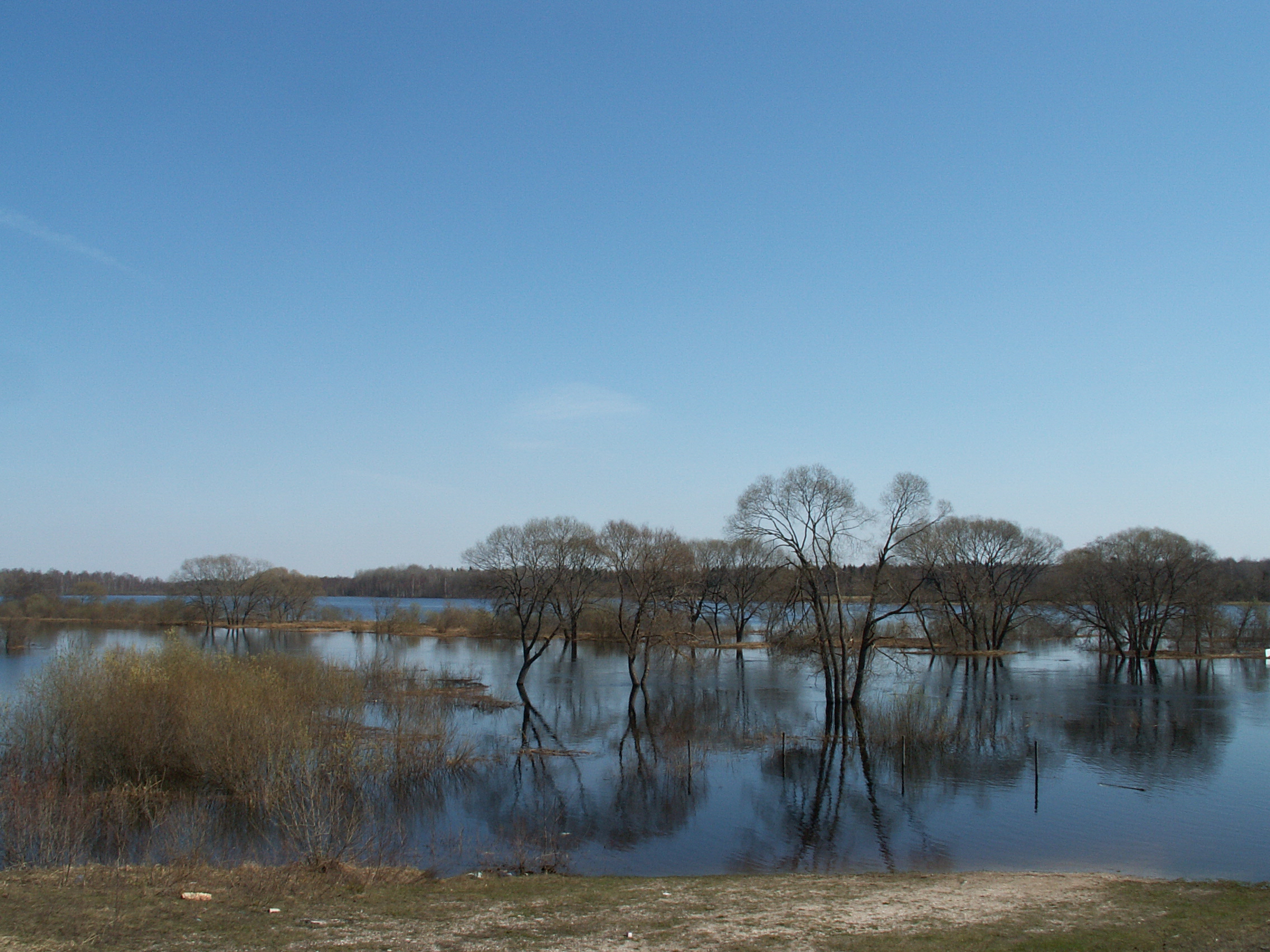 Emajõgi