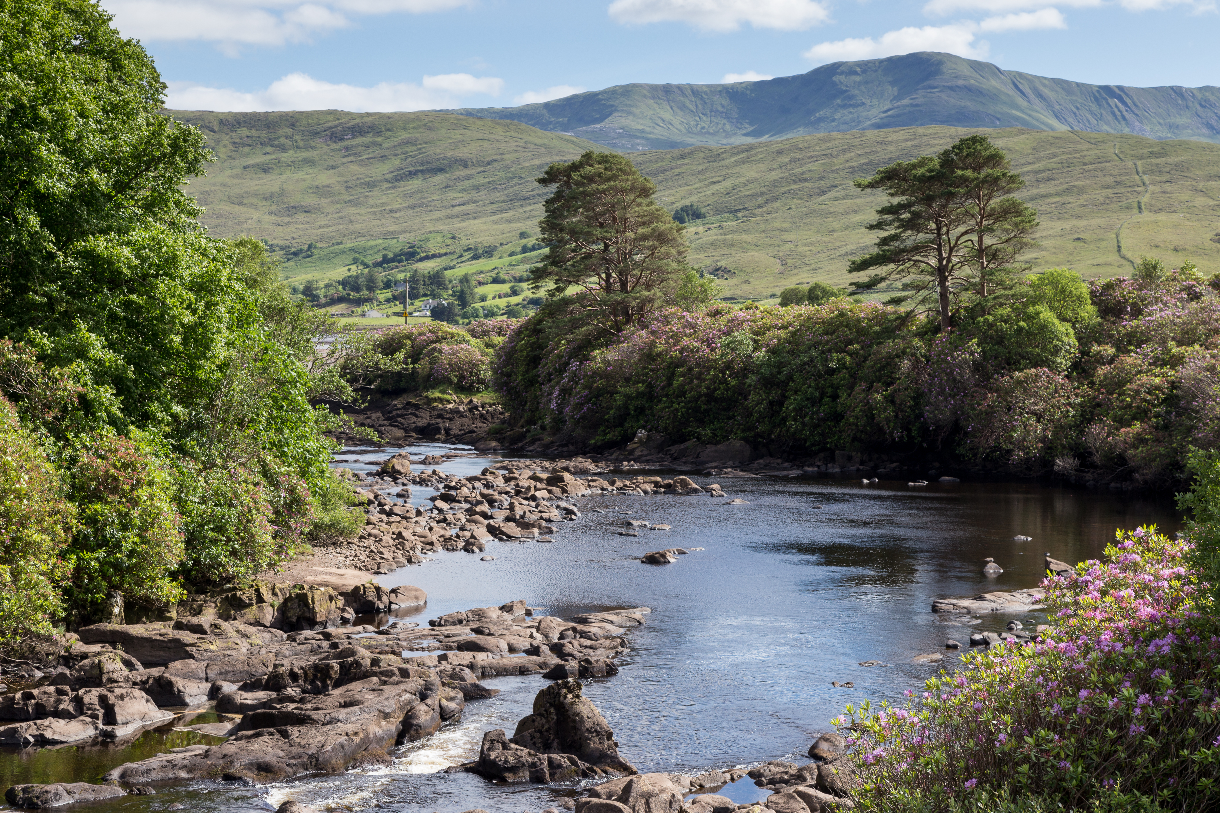 Erriff River- MG 2174