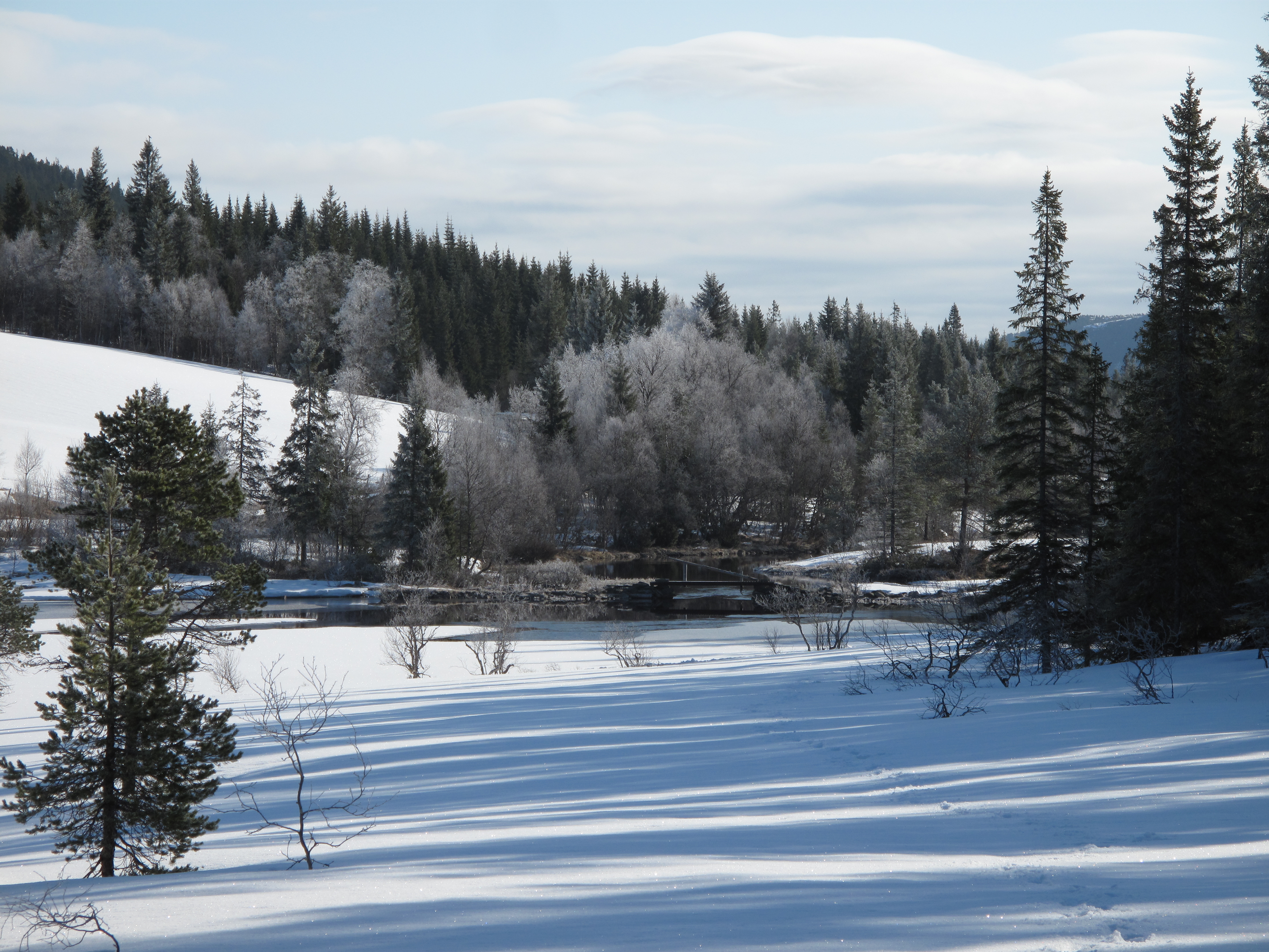 Fjellkjøselva 01
