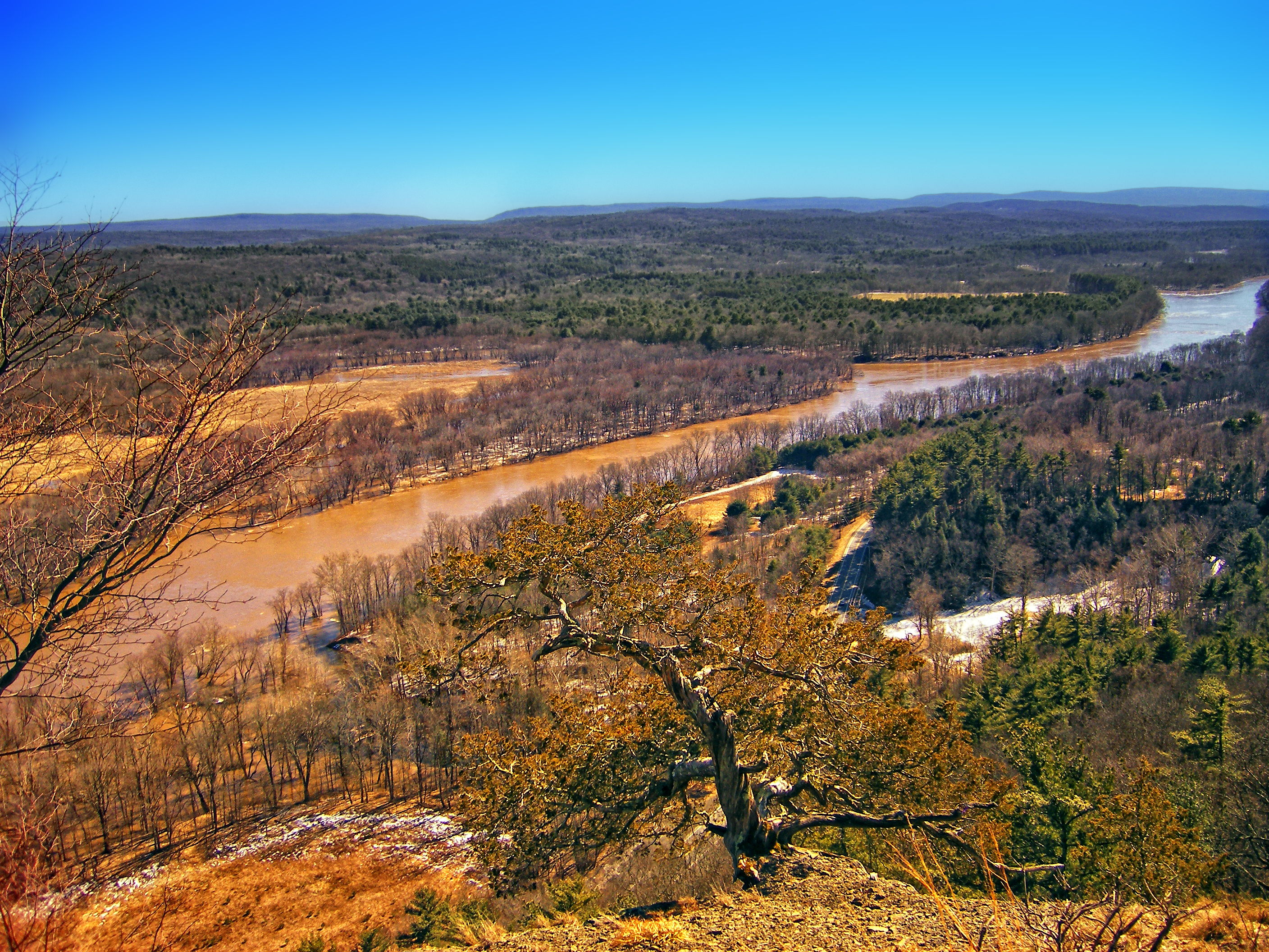 Flickr - Nicholas T - Floodplain (1)