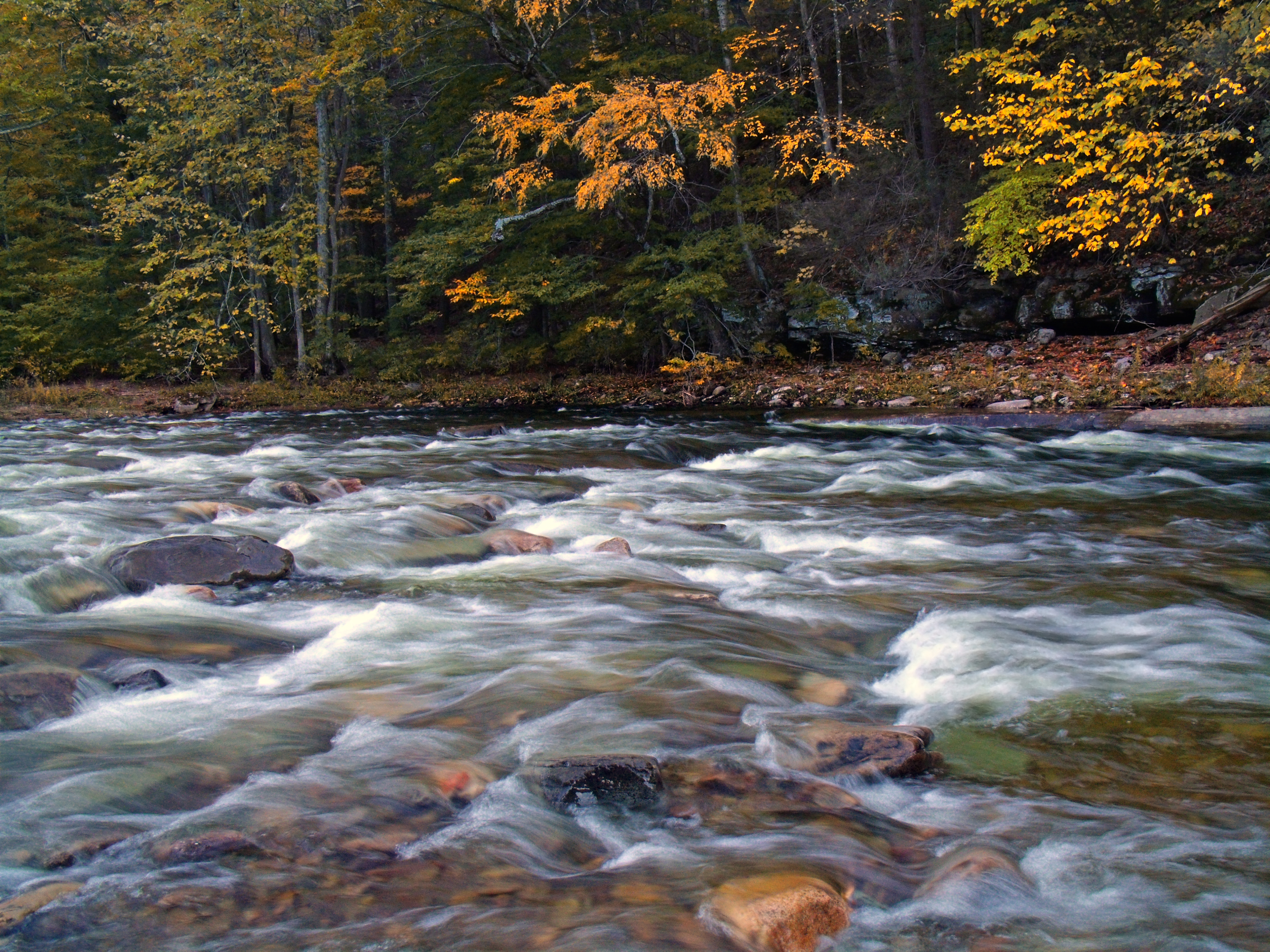Flickr - Nicholas T - Rapids