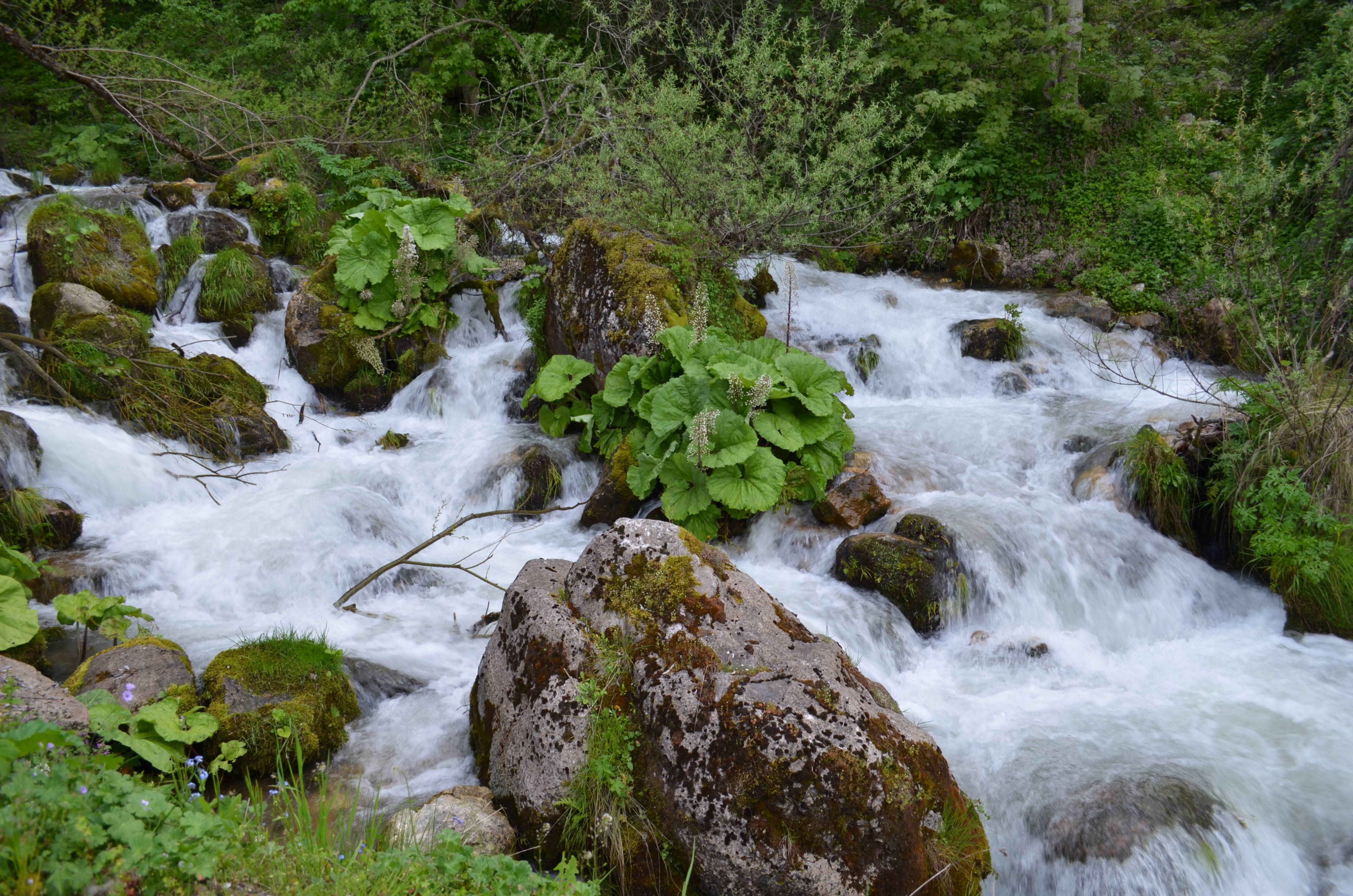 Garska reka1 11.05.2014
