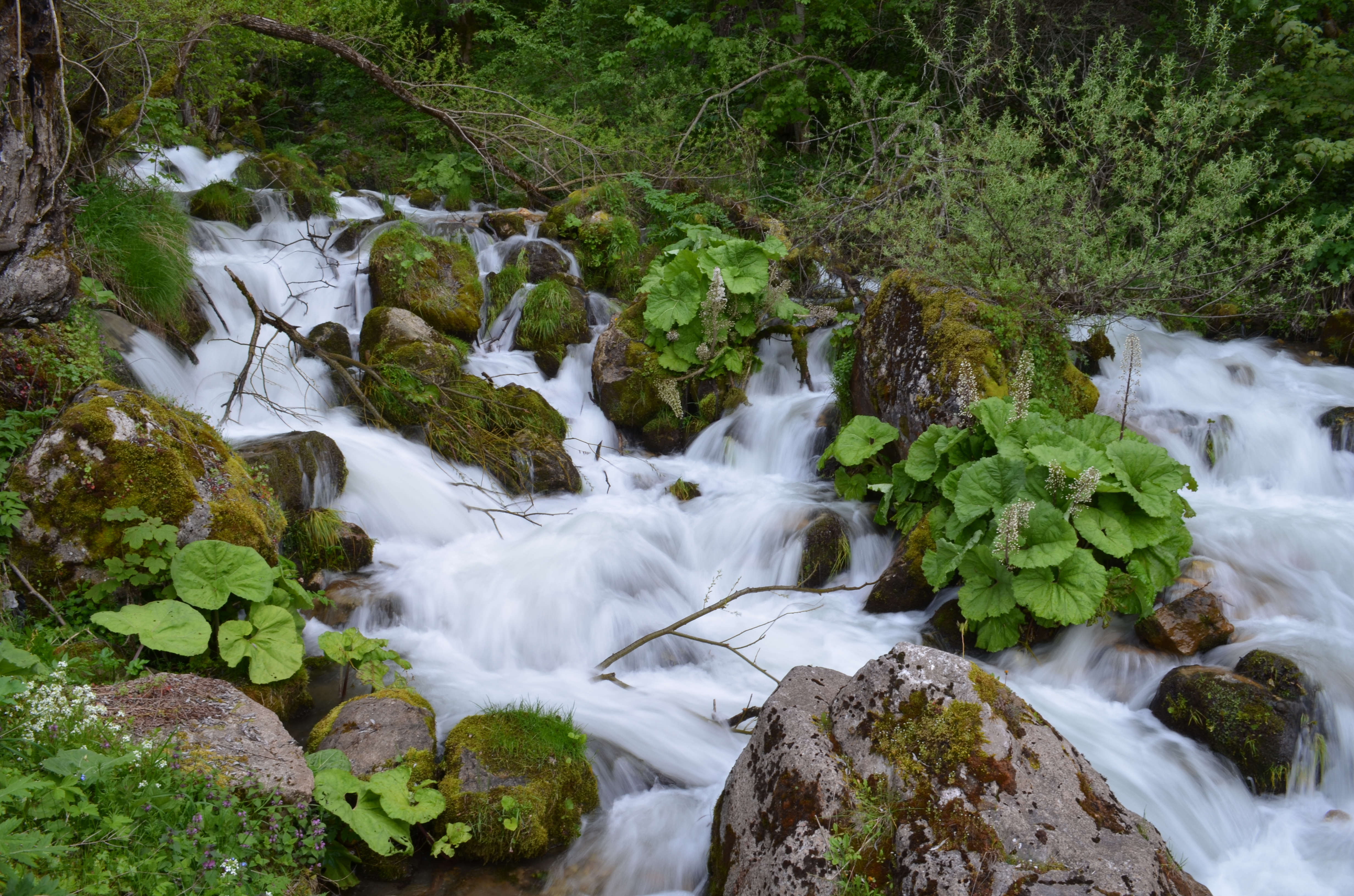Garska reka 2