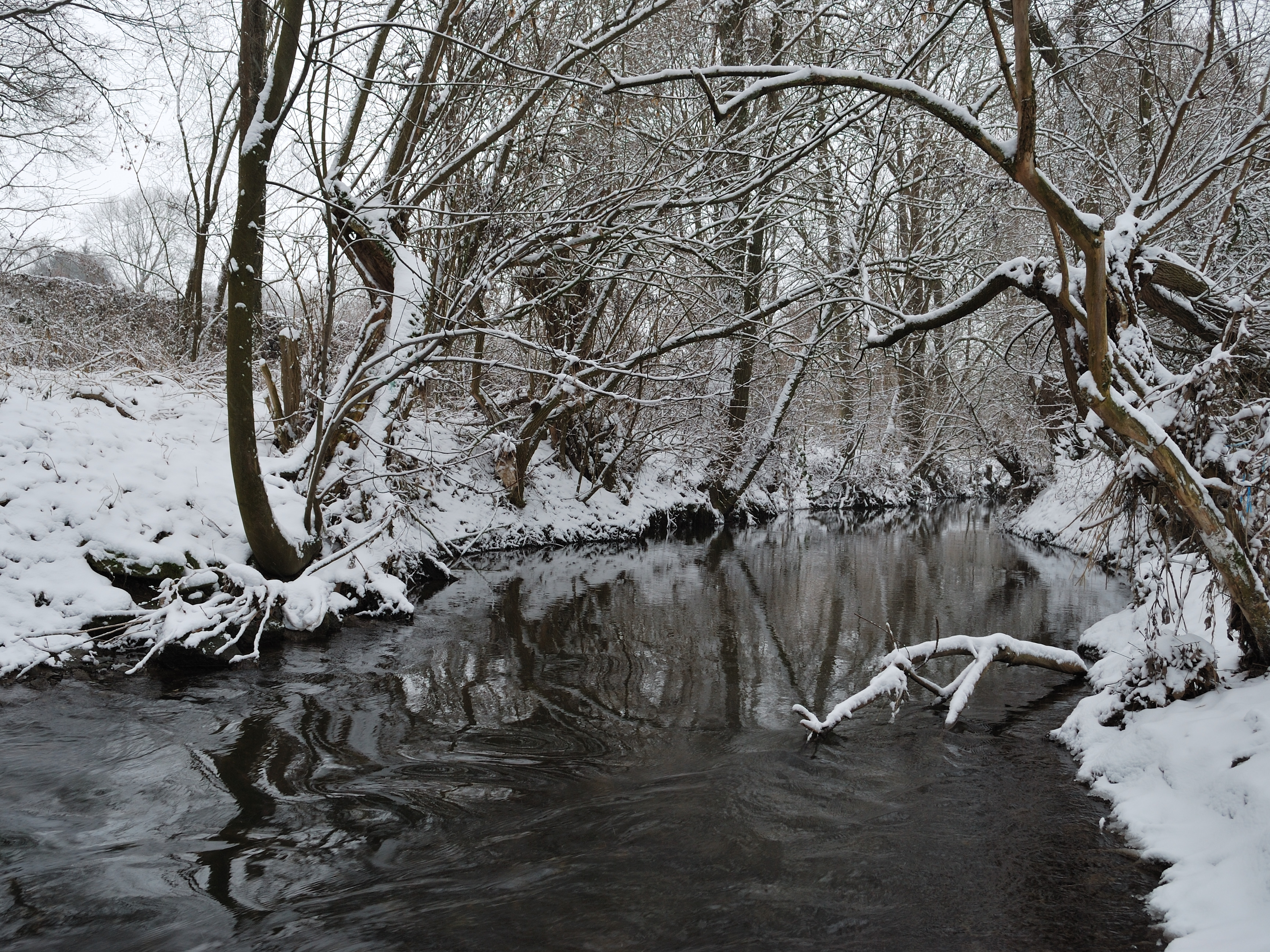Glems im Winter (3)