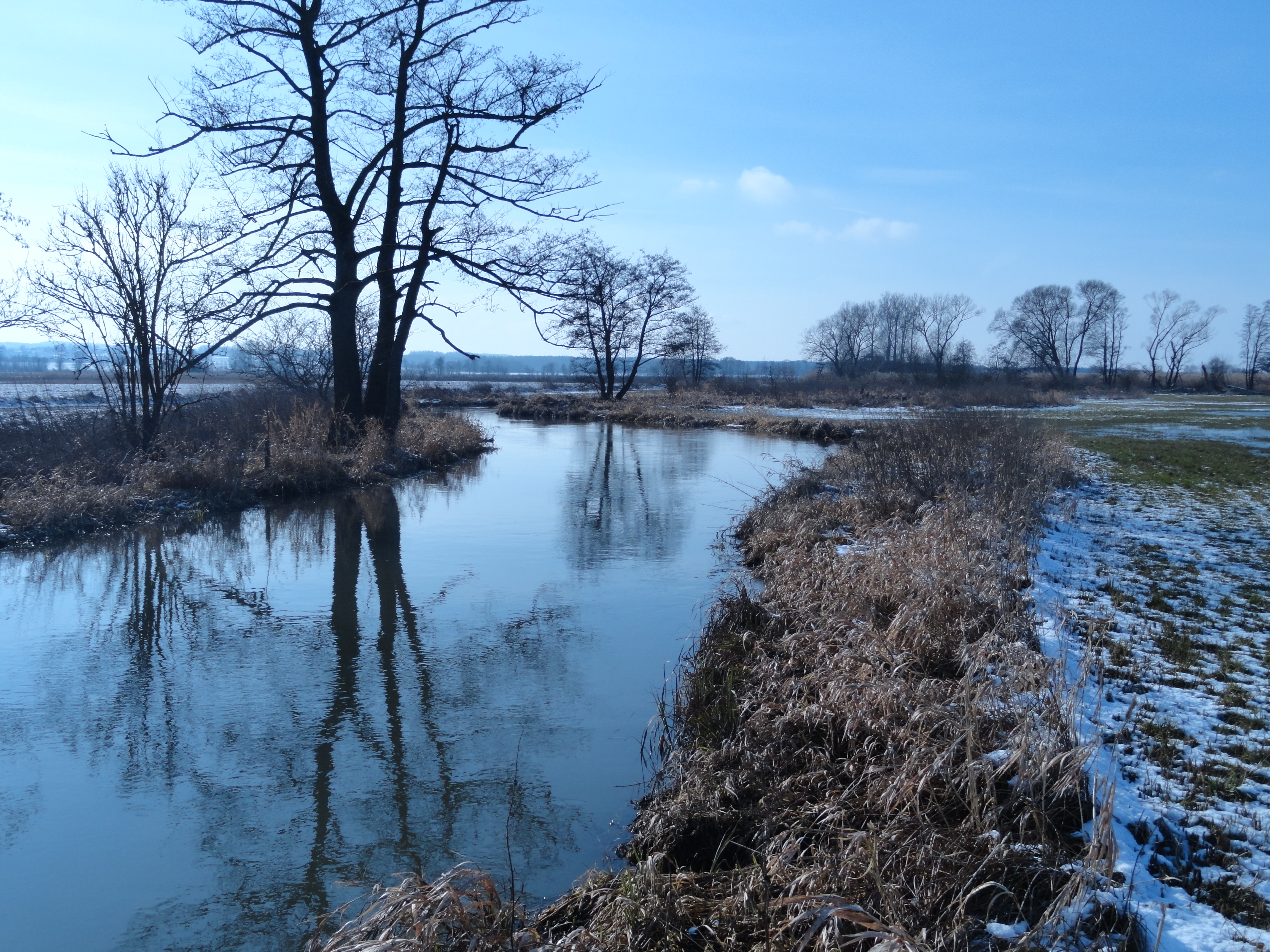 Große Laber vor Haidenkofen