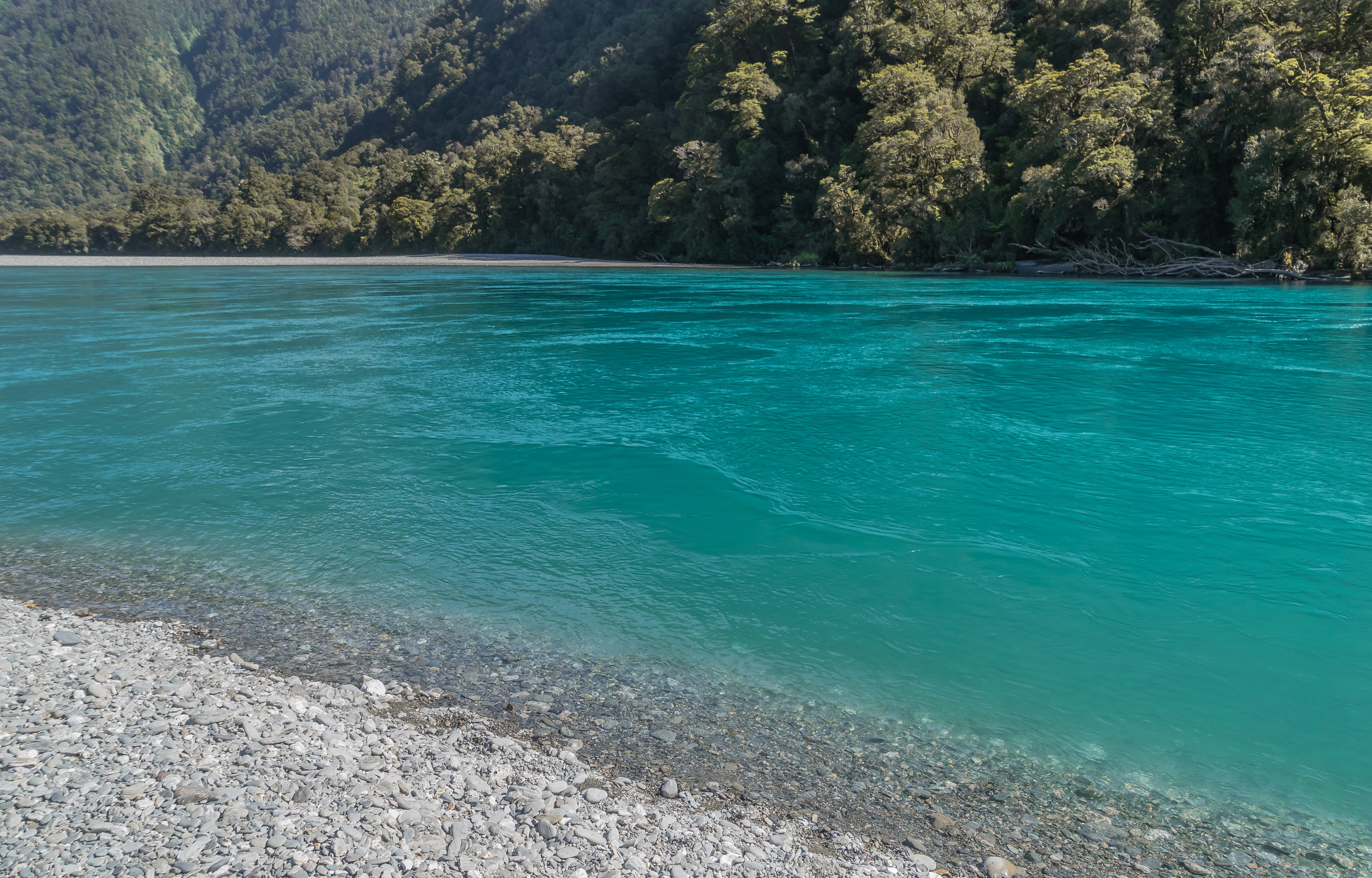 Haast River 10