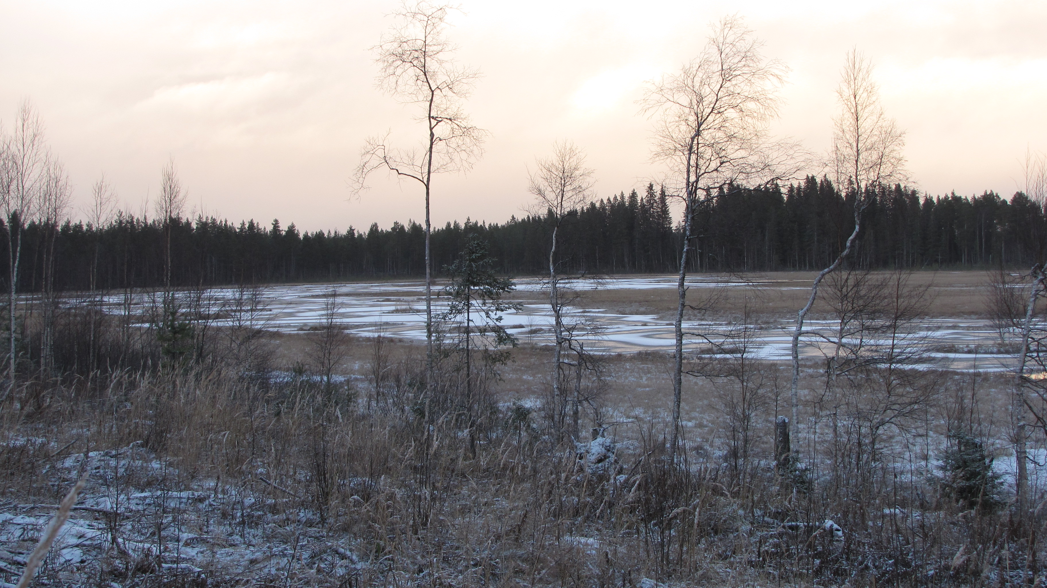 Harrinjärvi