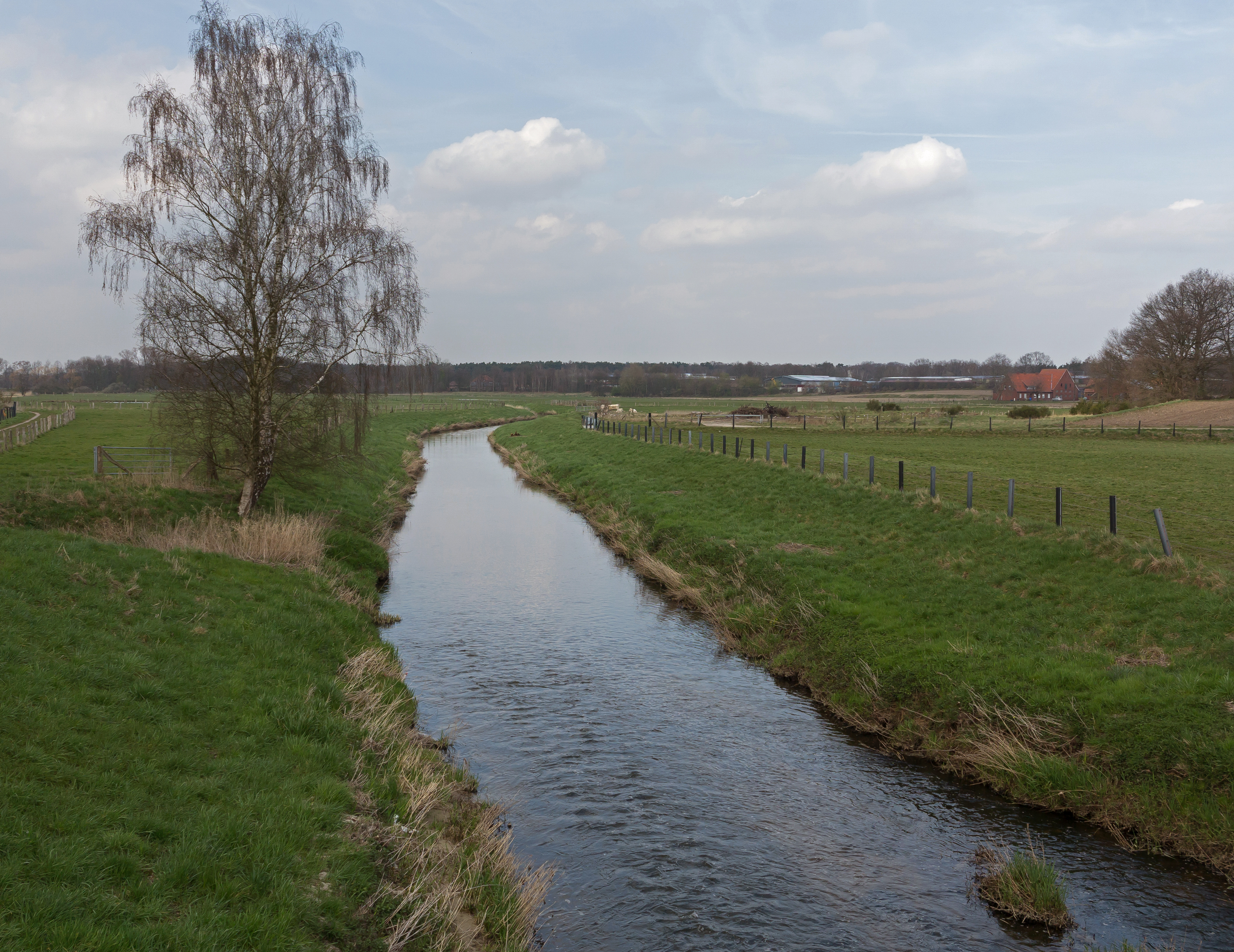 Heek, de Dinkel foto7 2016-04-03 15.08