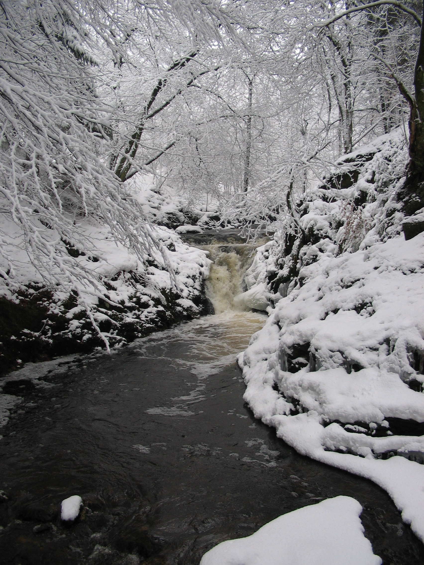 Hoegne sous la neige2