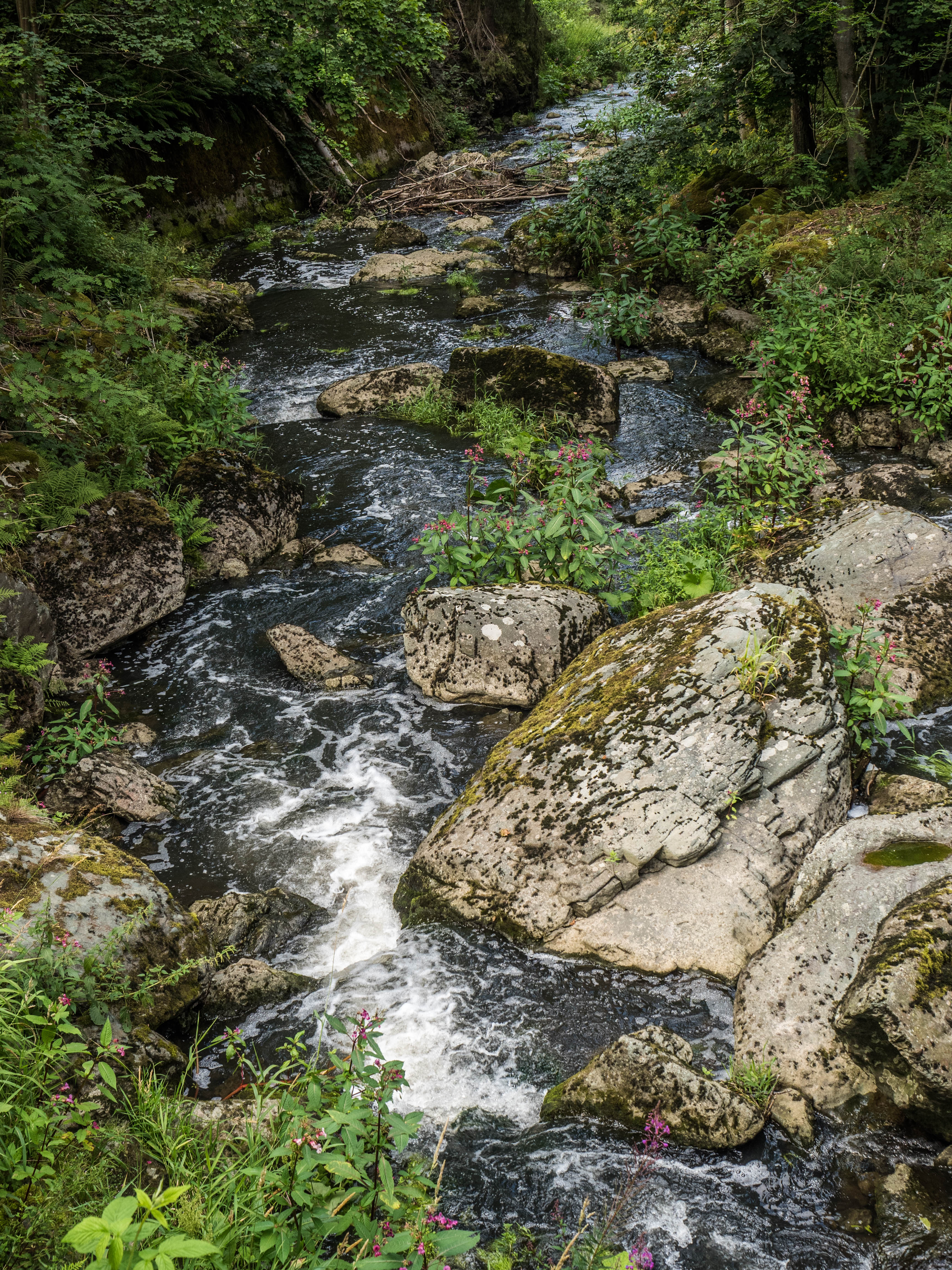 Hoellental-7300967