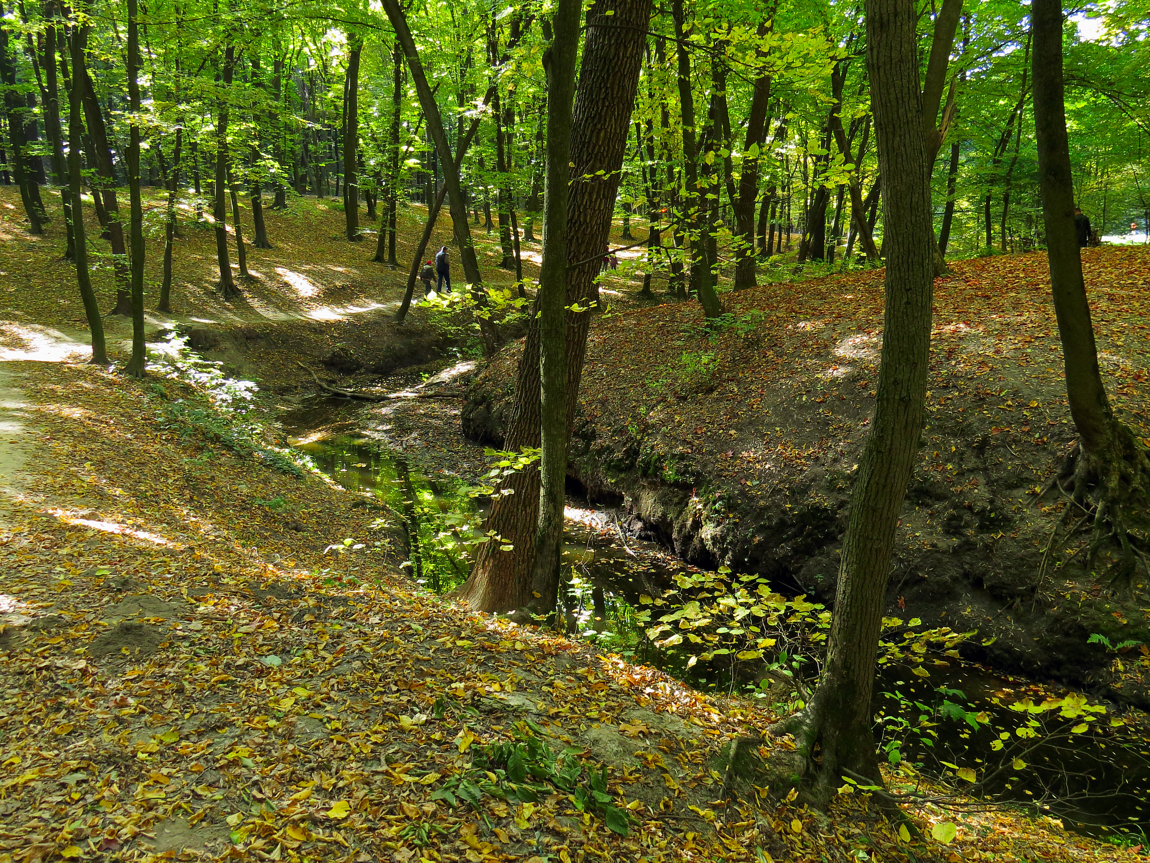 Horikhuvatka8
