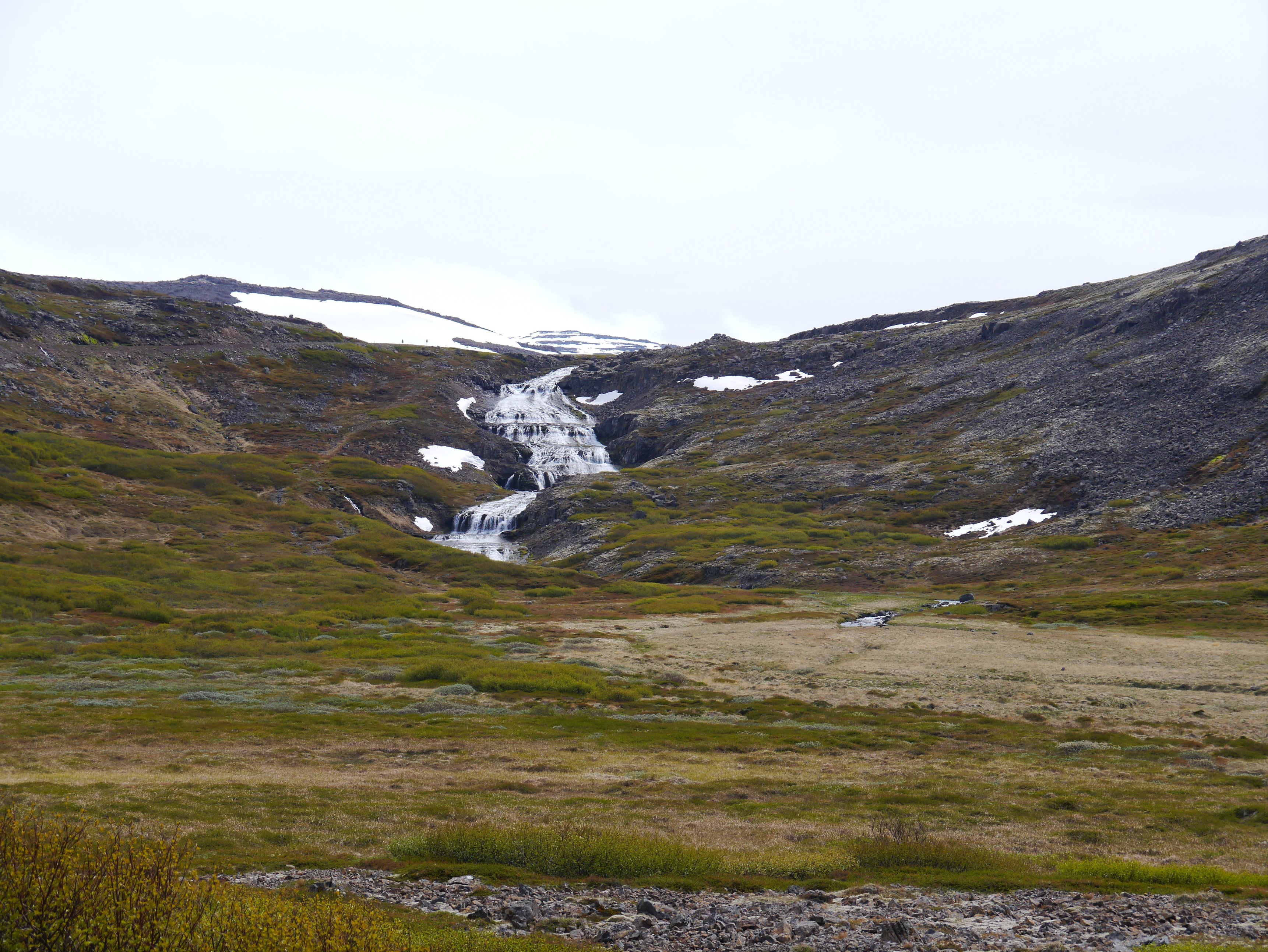 Island Westfjorde 113