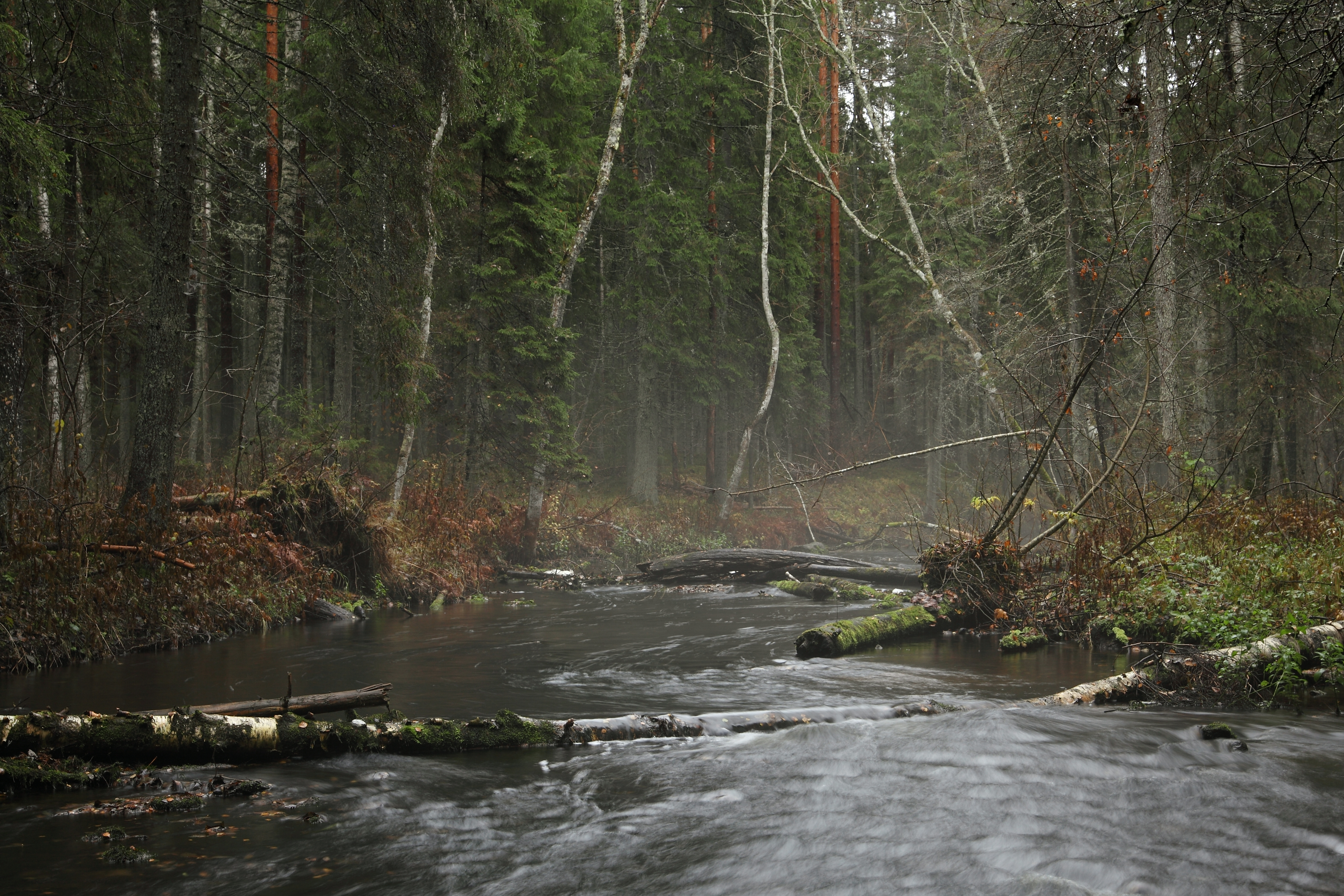 Jänijõgi III