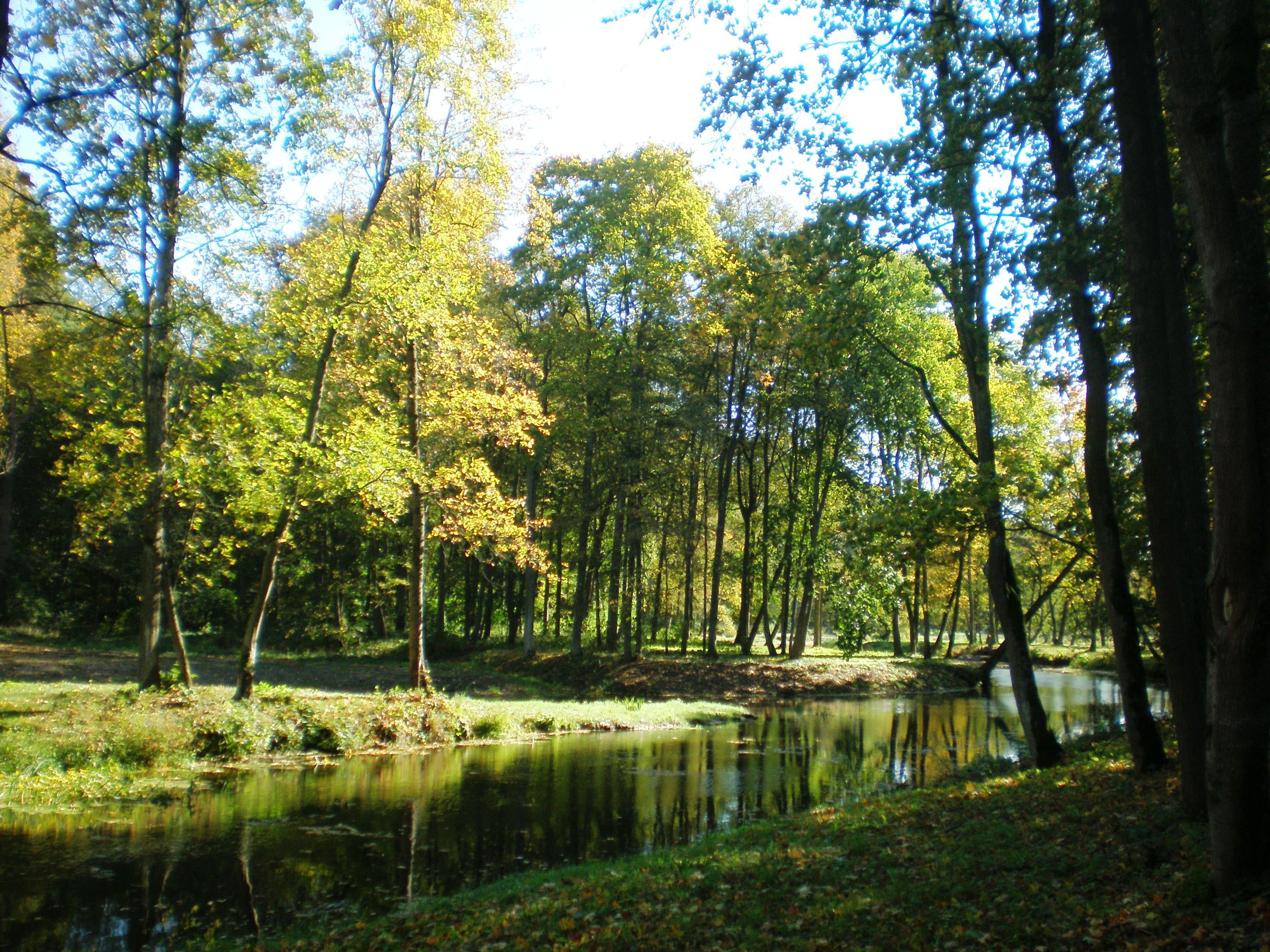 Kėdainiai park autumn 3
