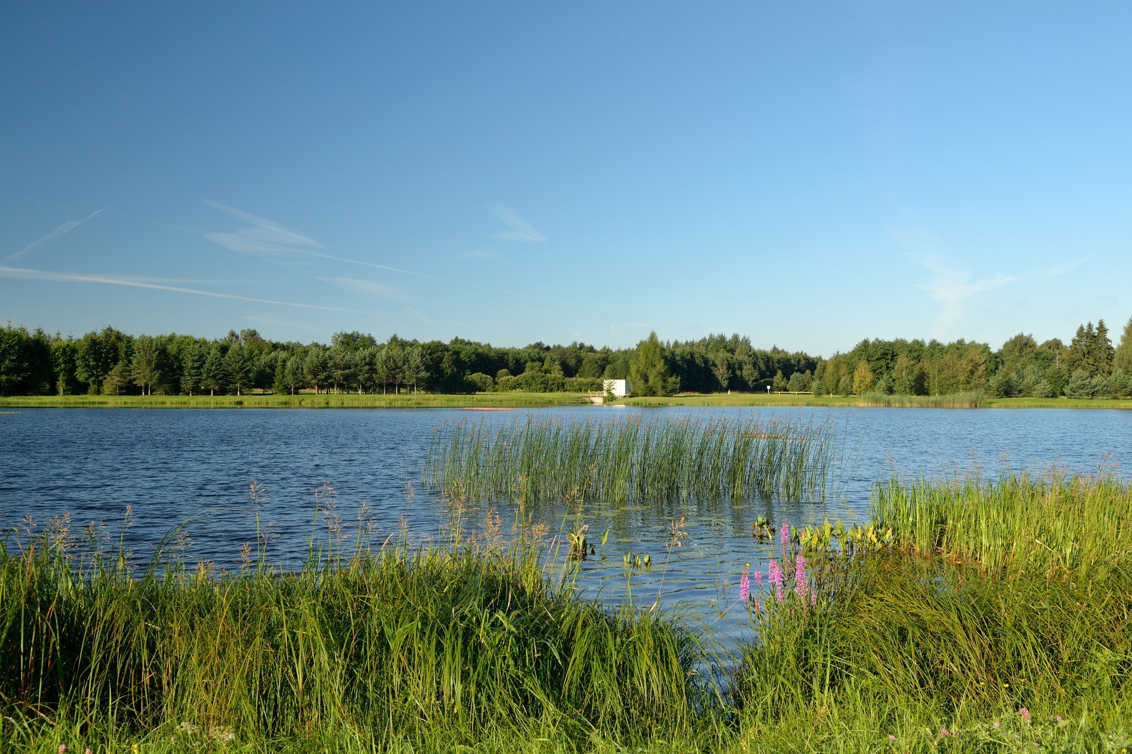 Kaunissaare veehoidla (Jägala jõgi)