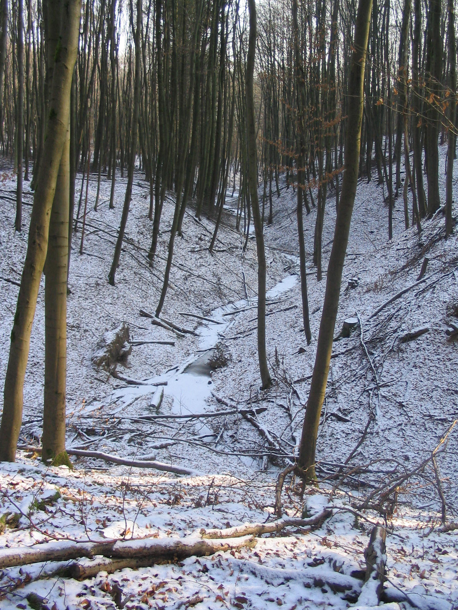 Kleinbreitenbach Quellgebiet 281