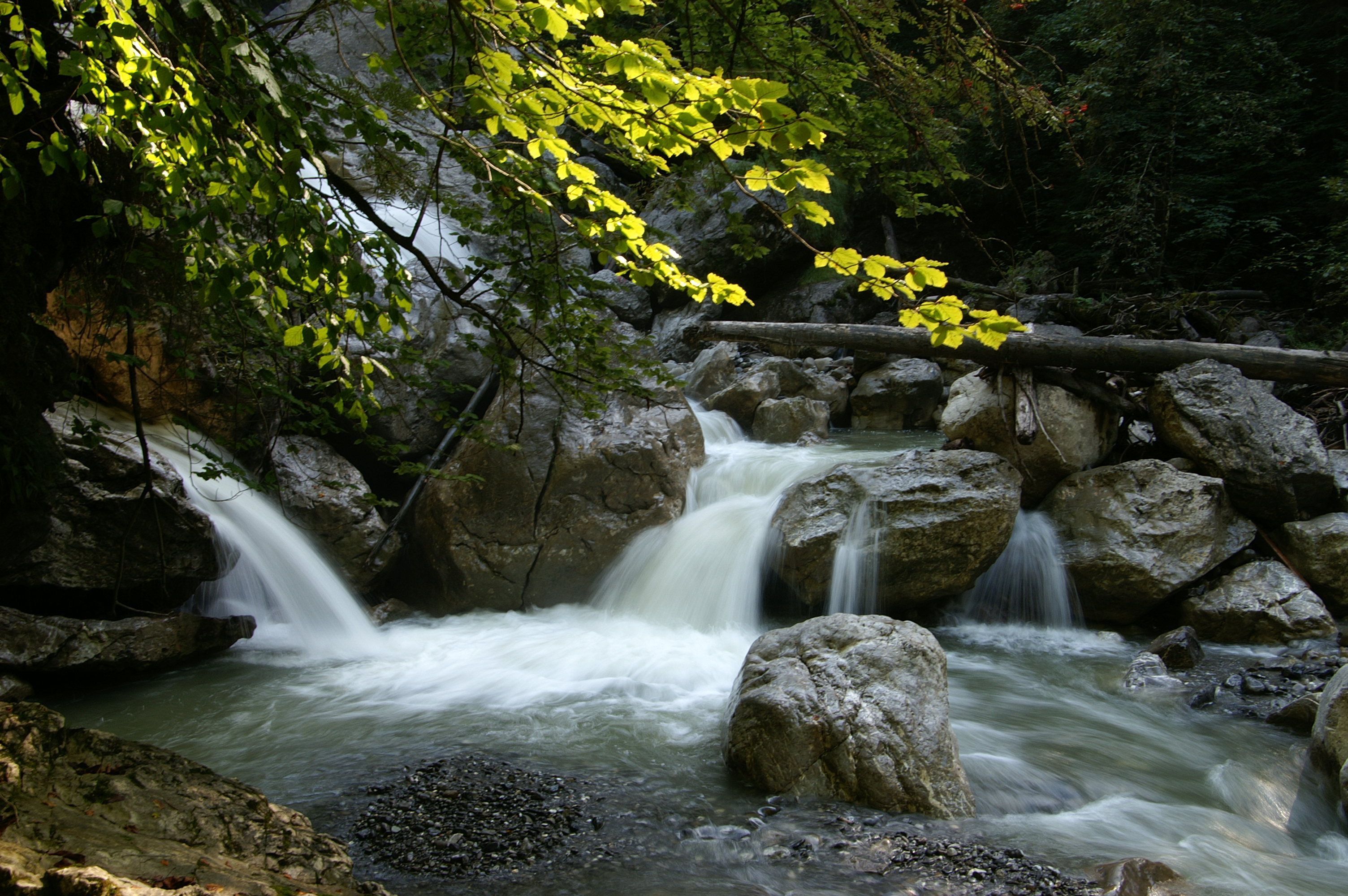 Kobelschlucht 1