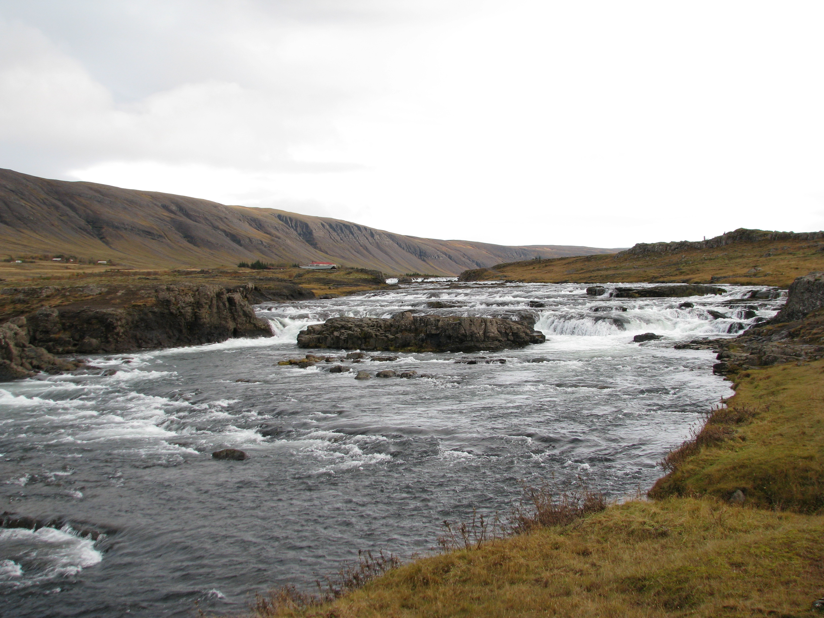 Laxá-í-Kjós2011